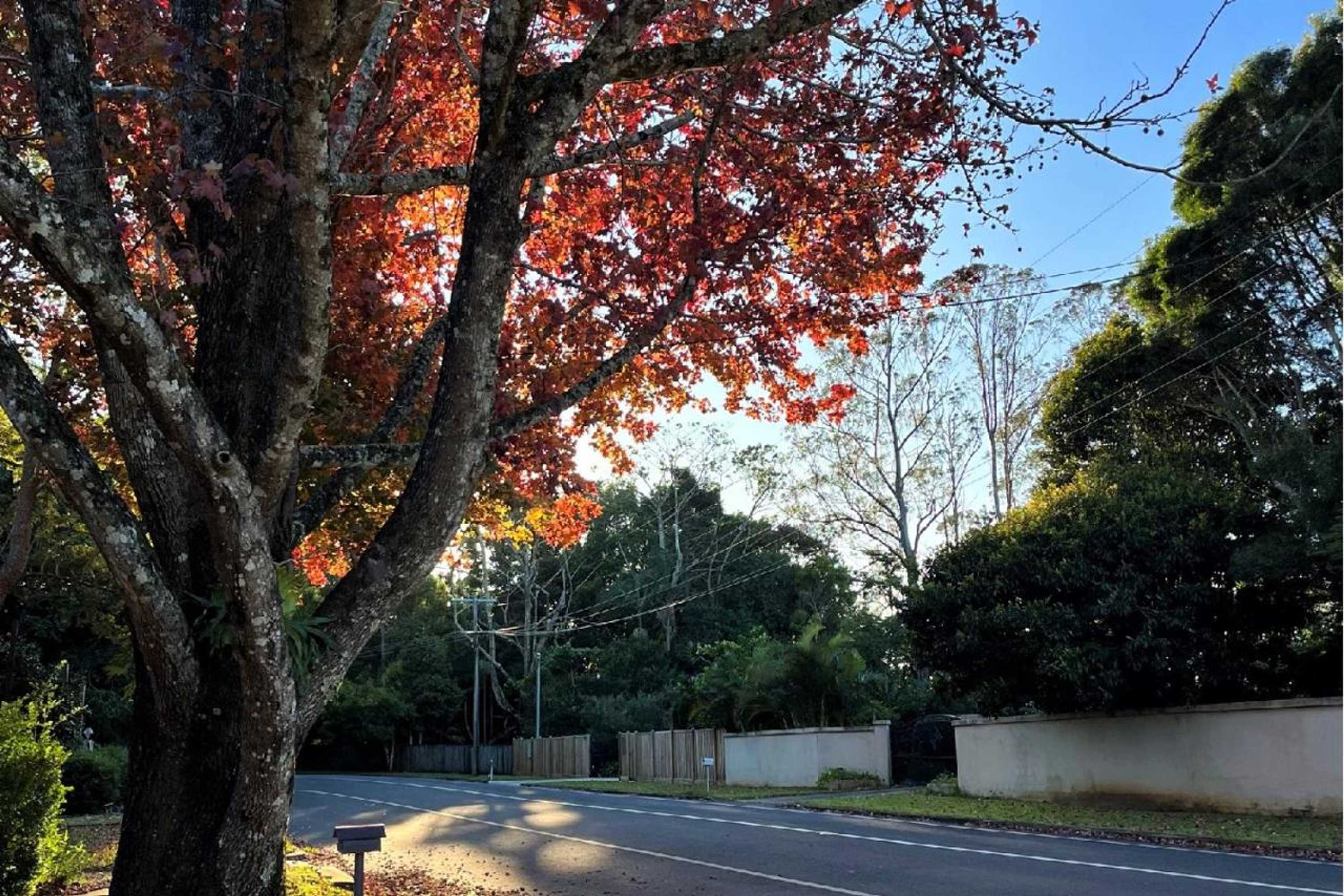 Gift card for The Avenue at Montville Cottage