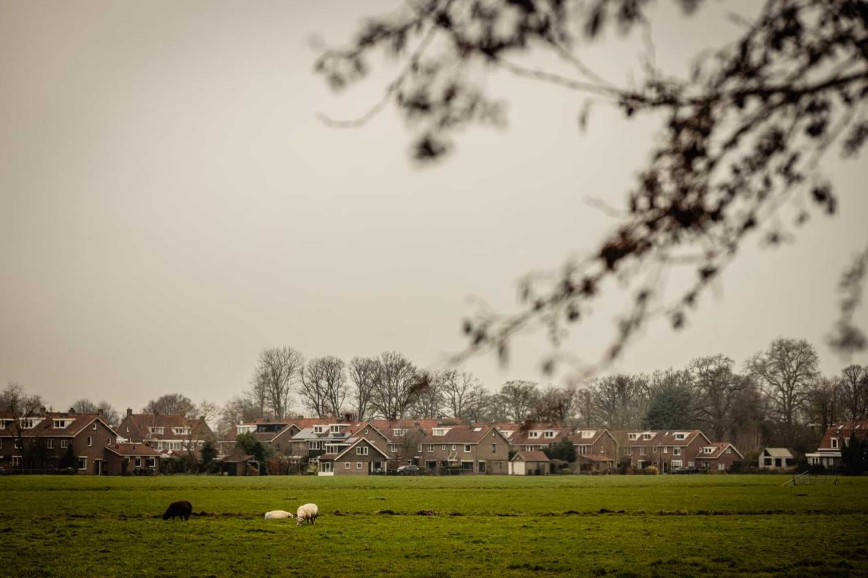 Gift card for Hotel de Witte Dame