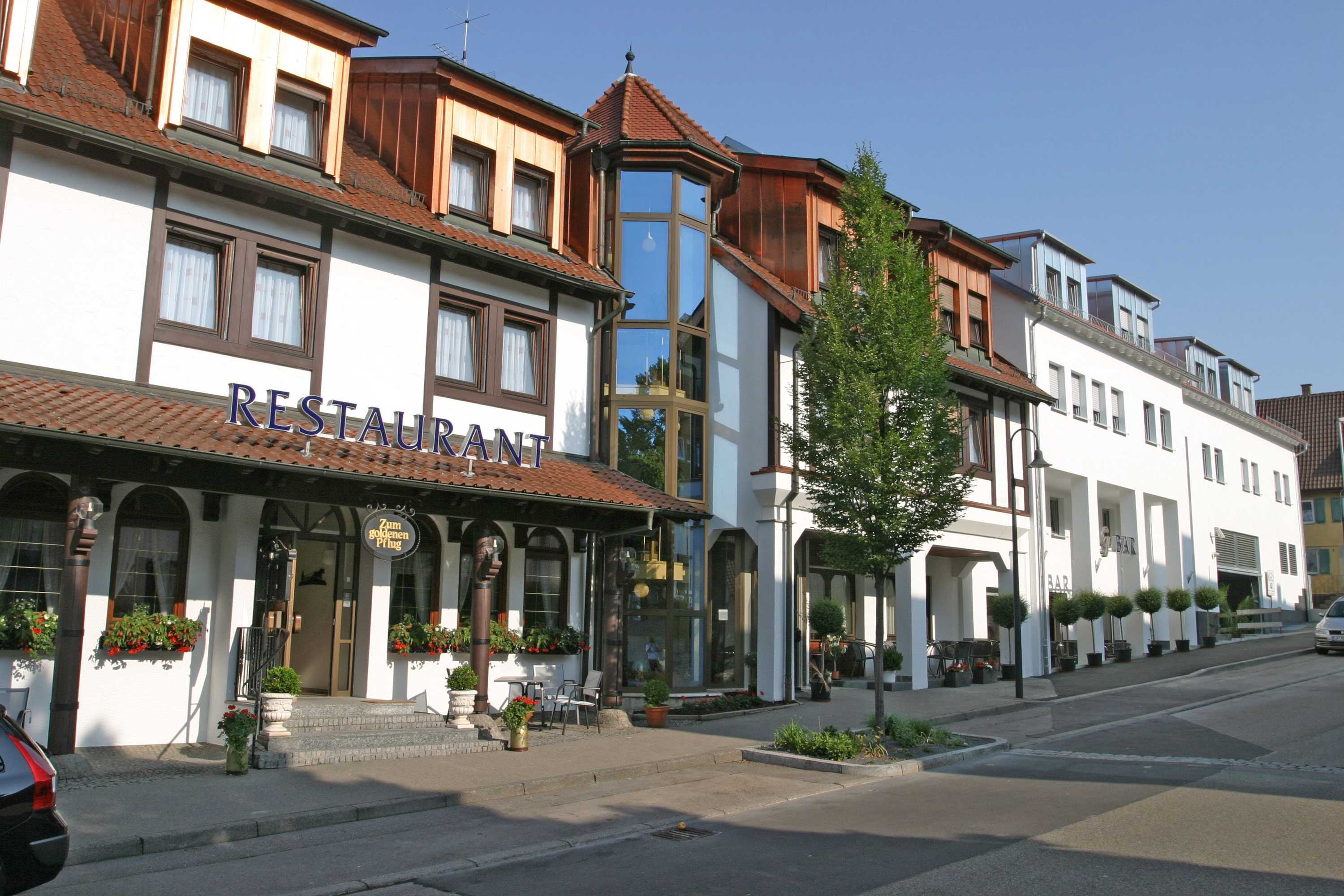 Gift card for Hotel & Restaurant Goldener Pflug Gift card for Hotel & Restaurant Goldener Pflug