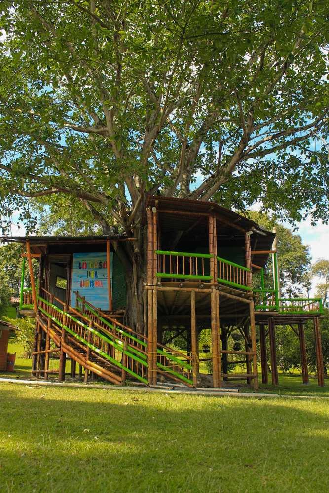 Gift card for Room in Lodge - Tree House Finca La Floresta Verde