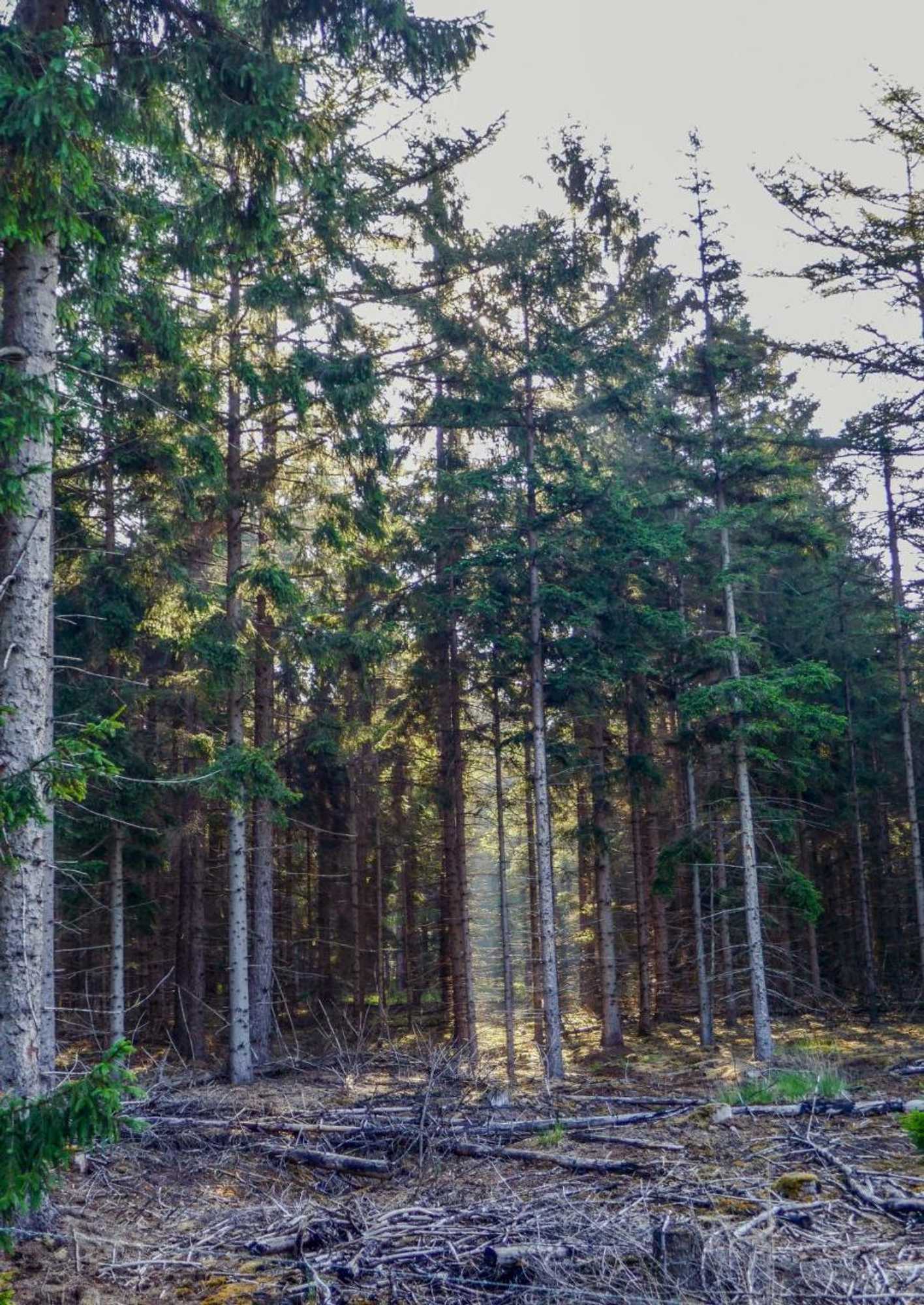 Gift card for Op Dn Kreijtenberg