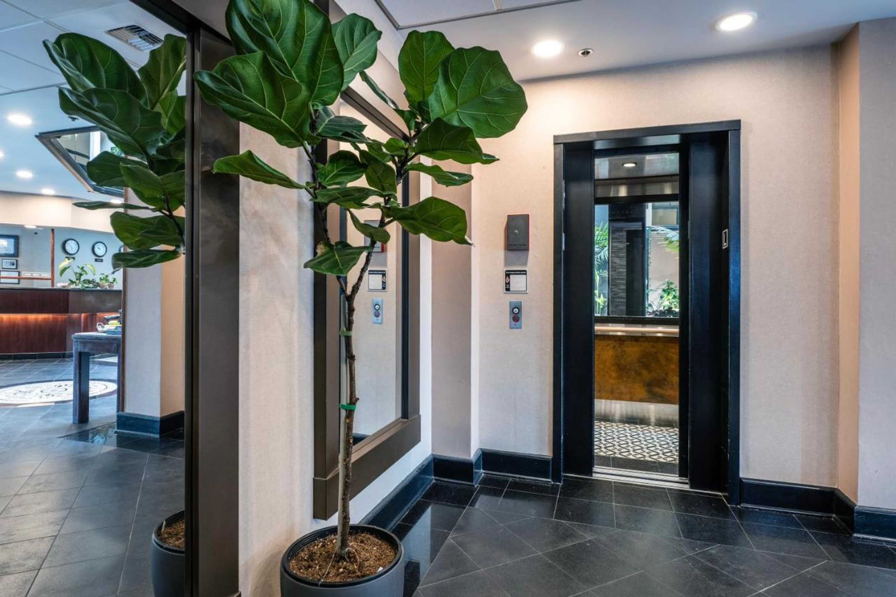 Gift card for Hotel International Gift card for Hotel International