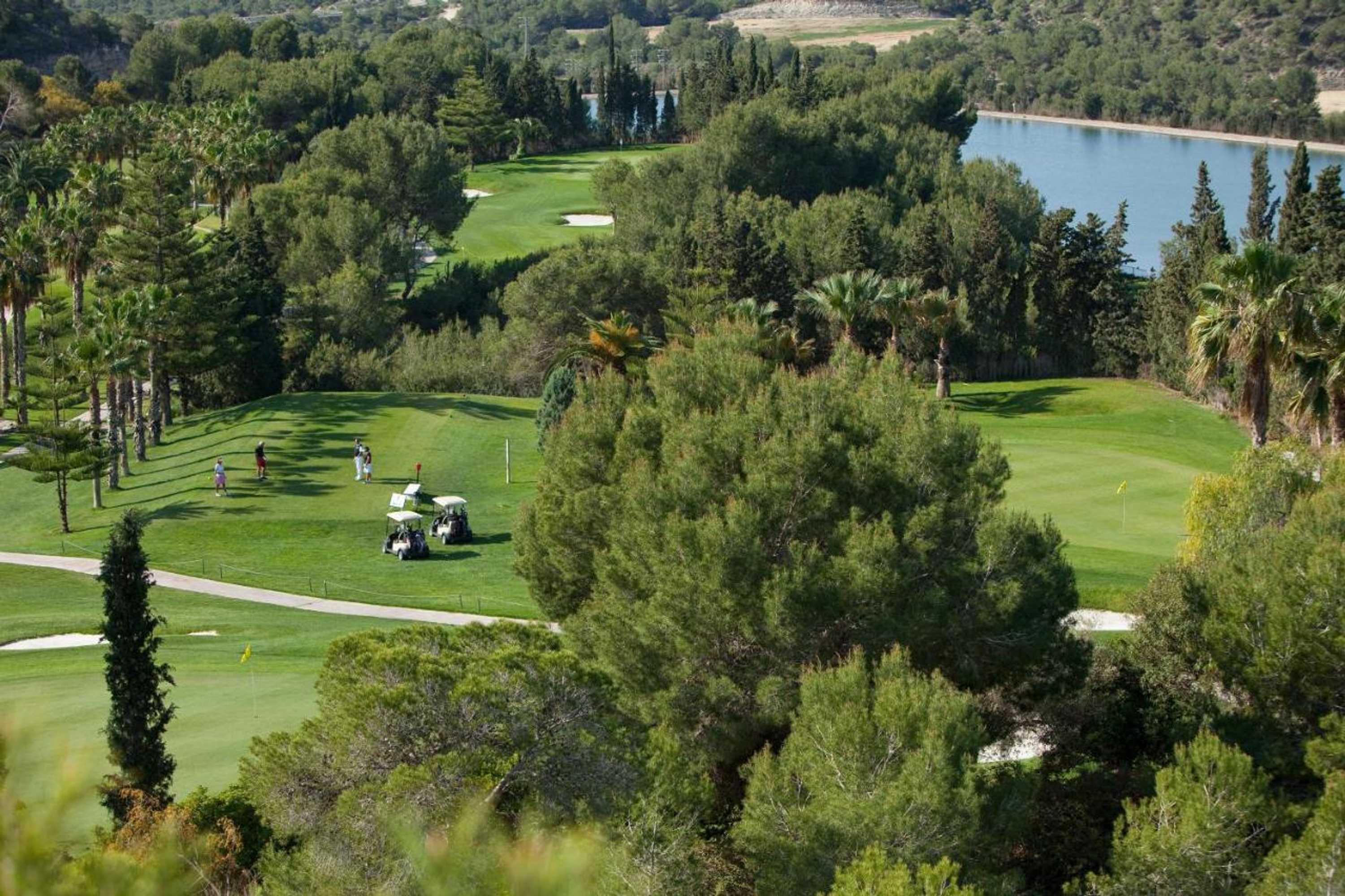 Gift card for Apartamentos Lomas De Campoamor