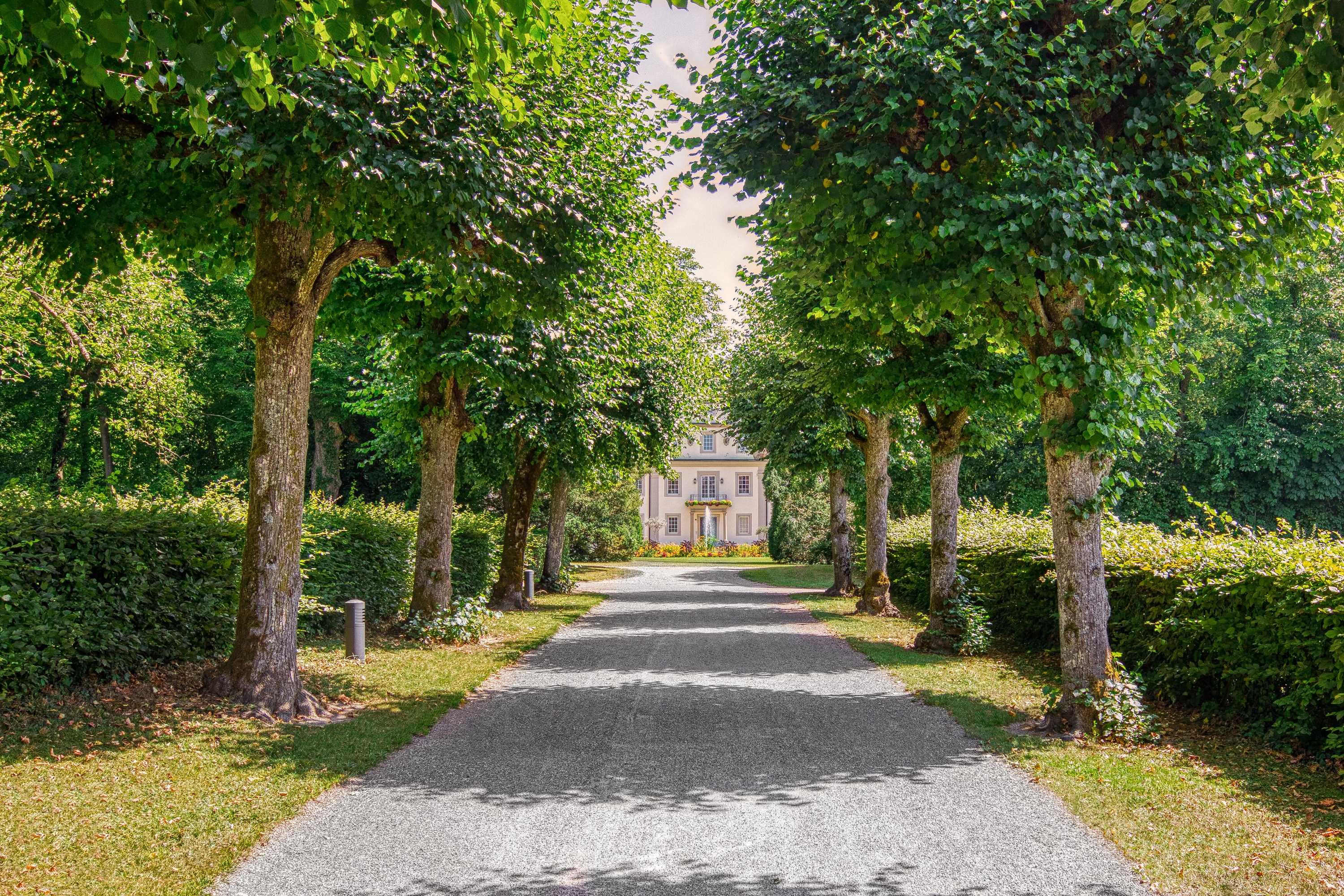 Gift card for Wald & Schlosshotel Friedrichsruhe Gift card for Wald & Schlosshotel Friedrichsruhe