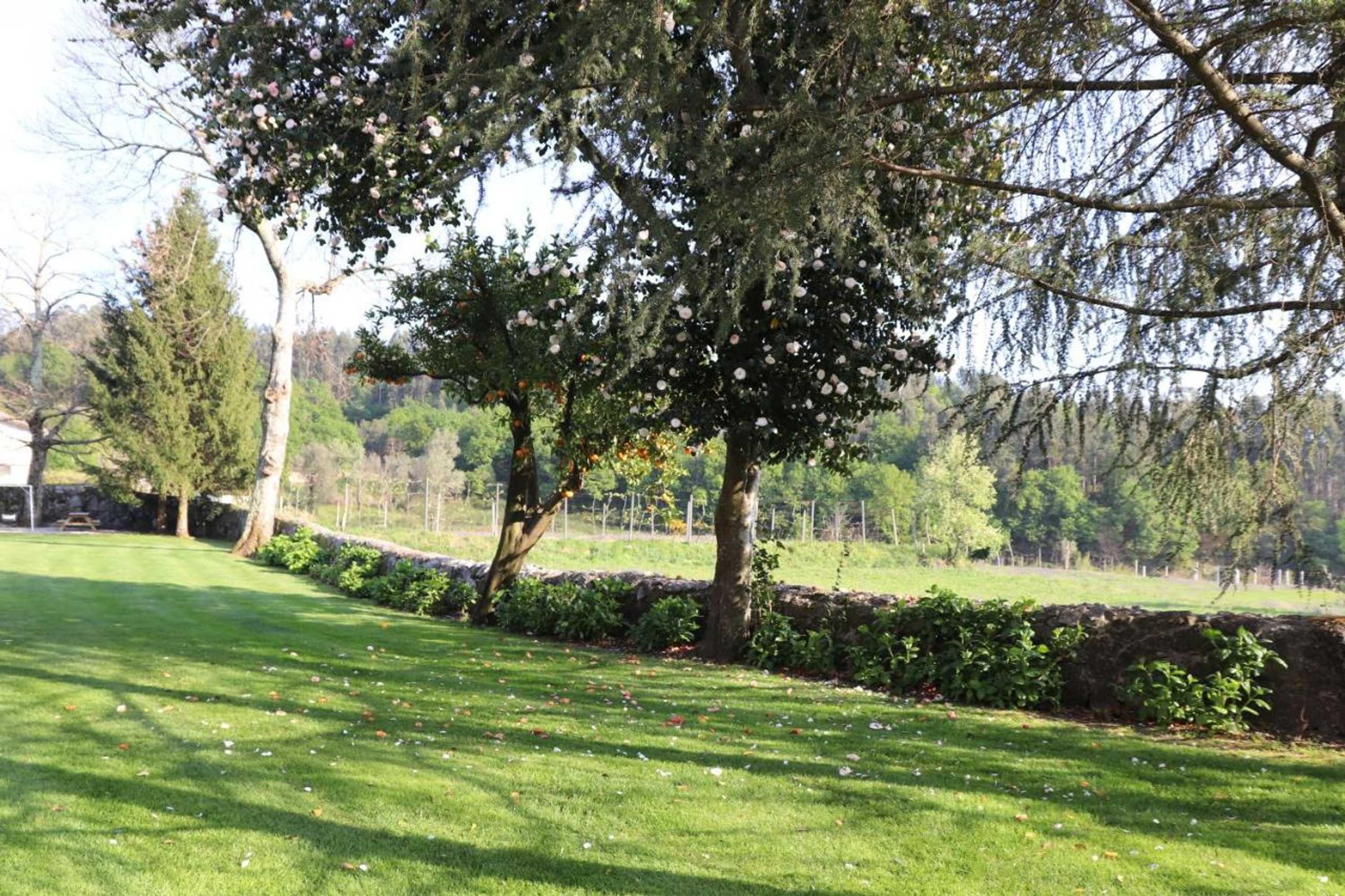 Gift card for Cazal Da Lamella