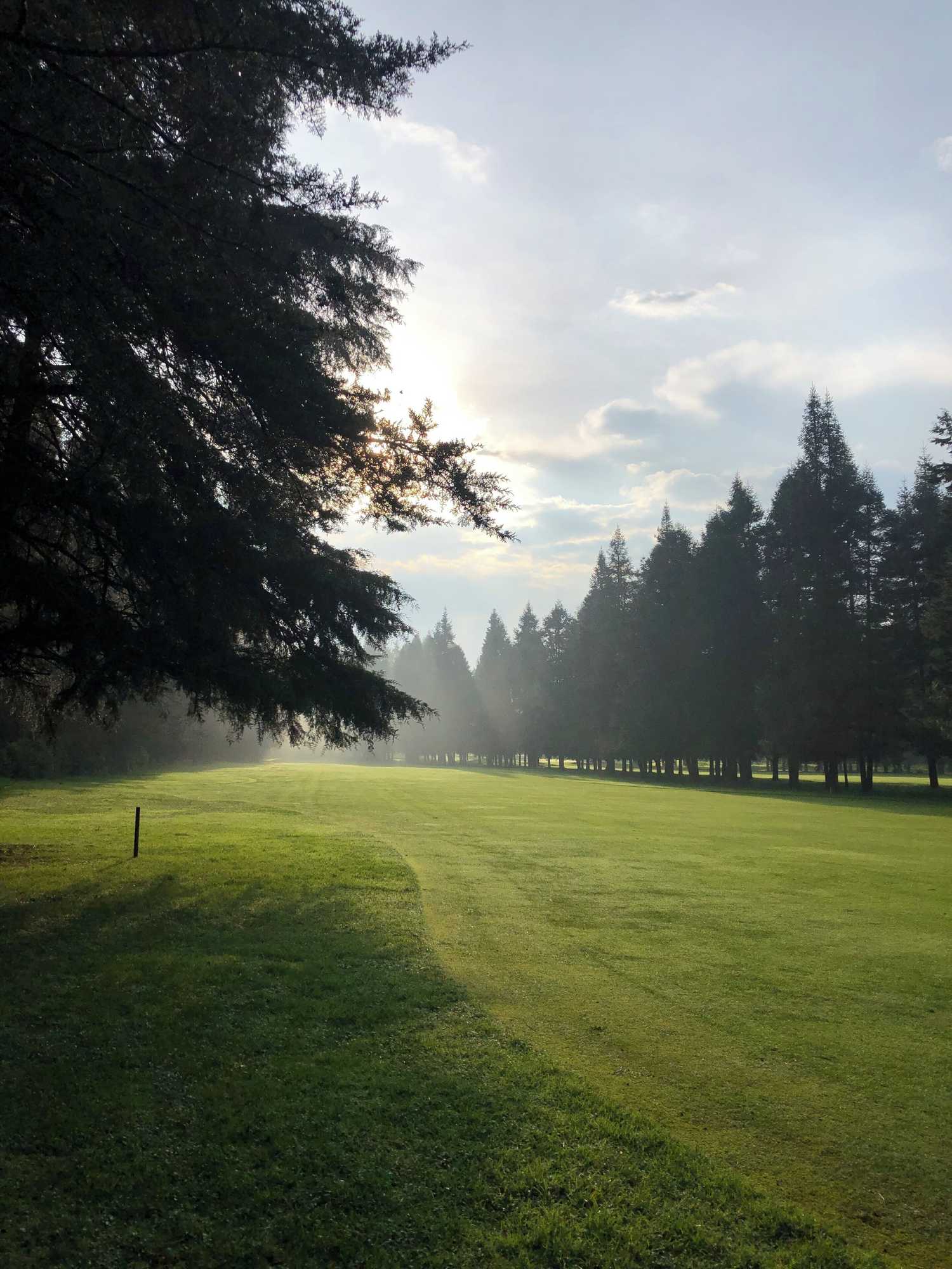 Gift card for Rancho Viejo