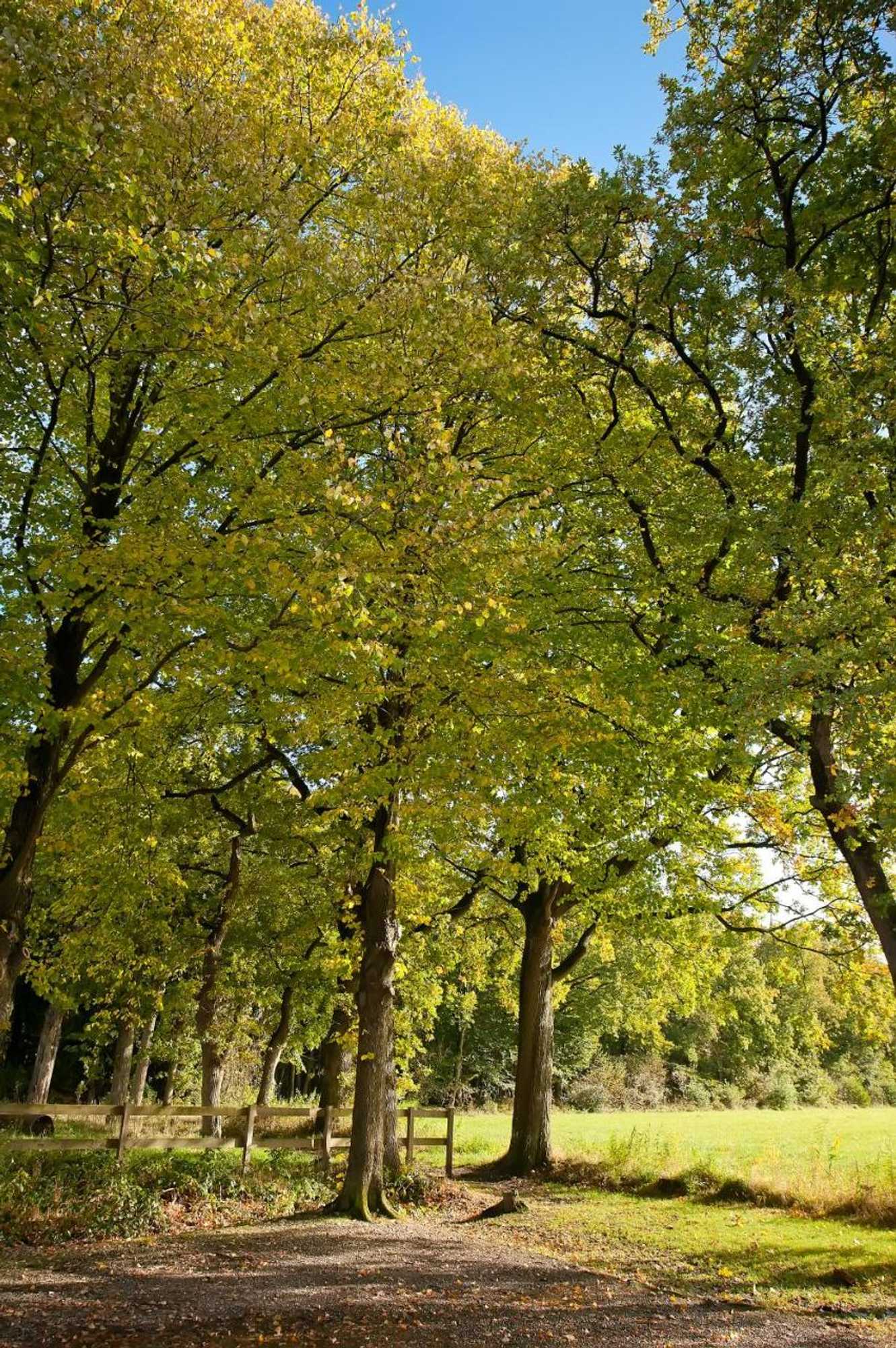 Gift card for Hotel Restaurant Het Witte Huis