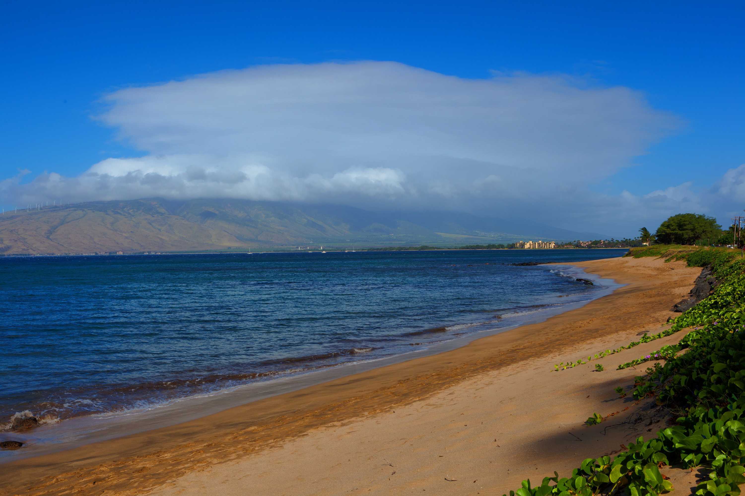 Gift card for Kohea Kai Hotel Maui Gift card for Kohea Kai Hotel Maui