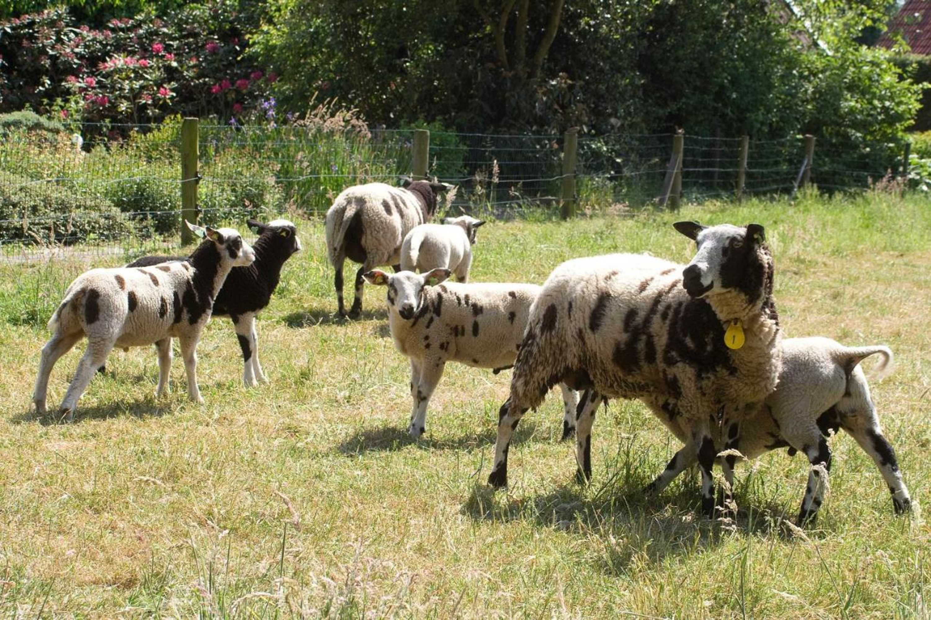 Gift card for Erve Fakkert