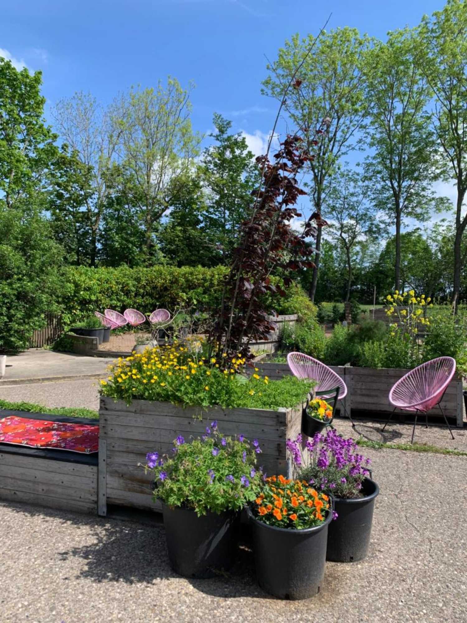 Gift card for Het Lage Noorden