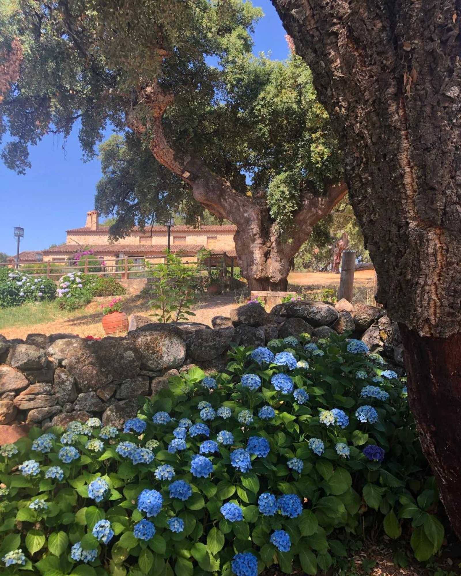 Gift card for La Macera