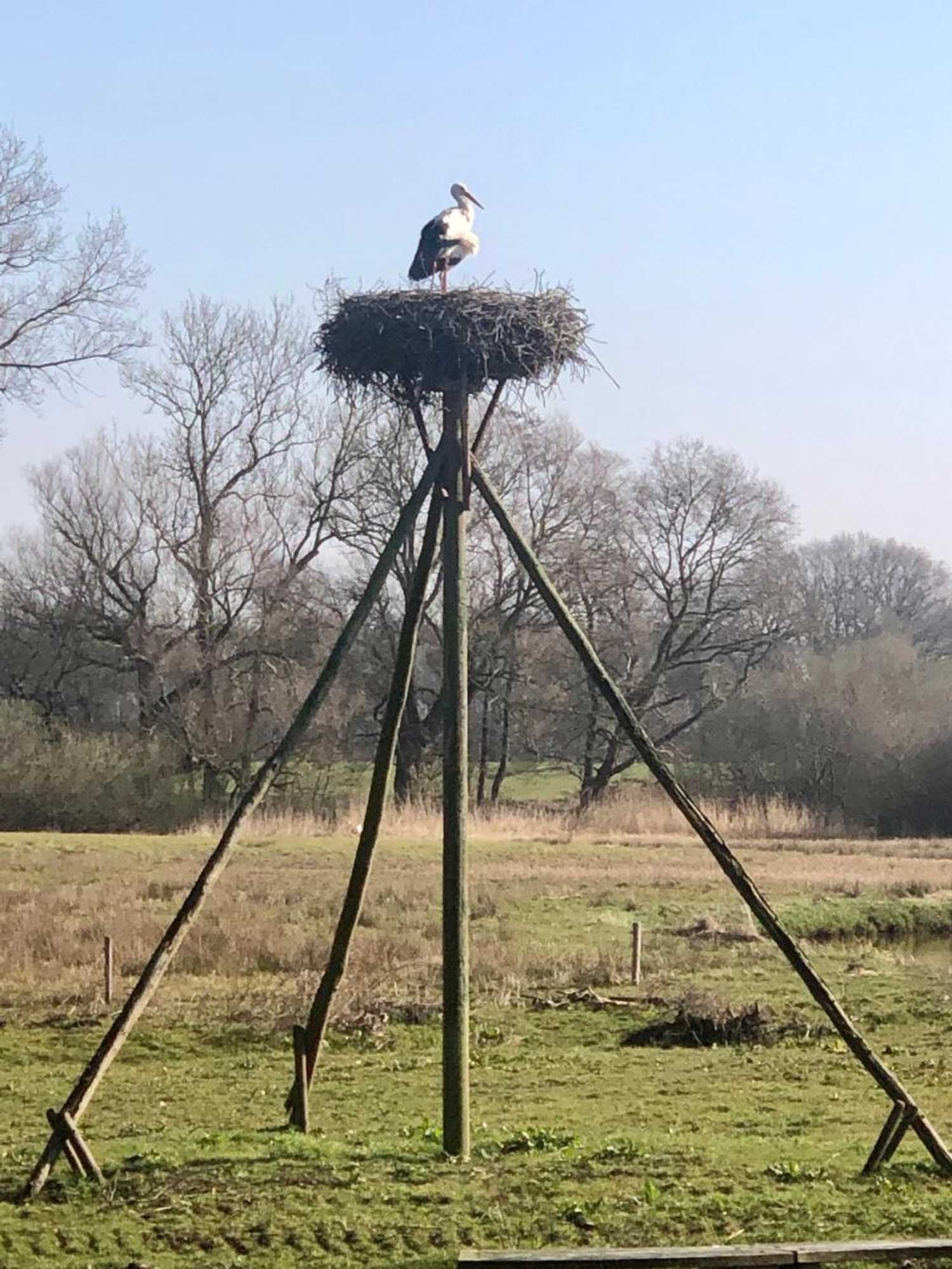 Gift card for Cottage Hazenhorst - Paradijs Aan Het Bos