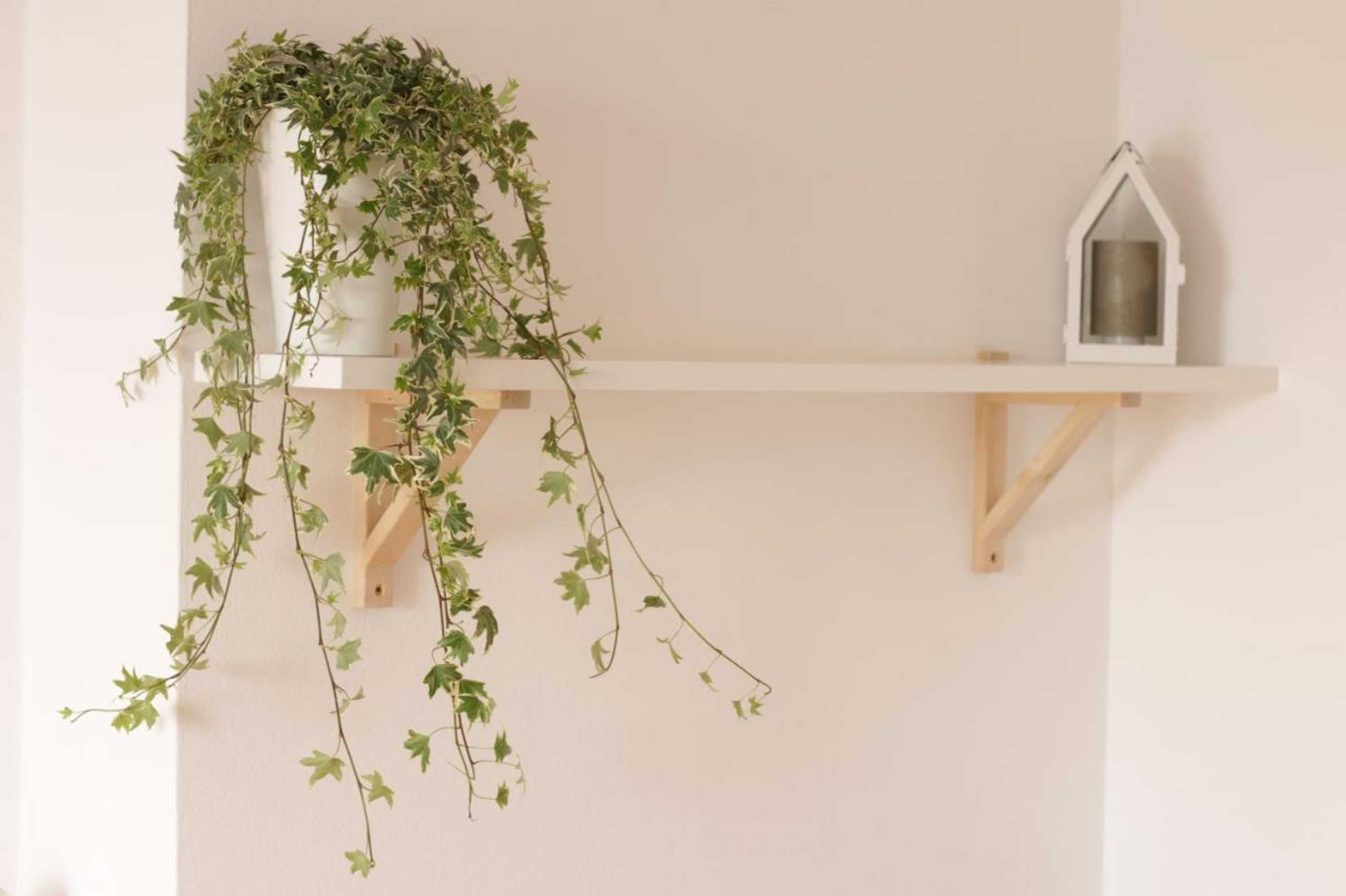 Gift card for Guesthouse Sole