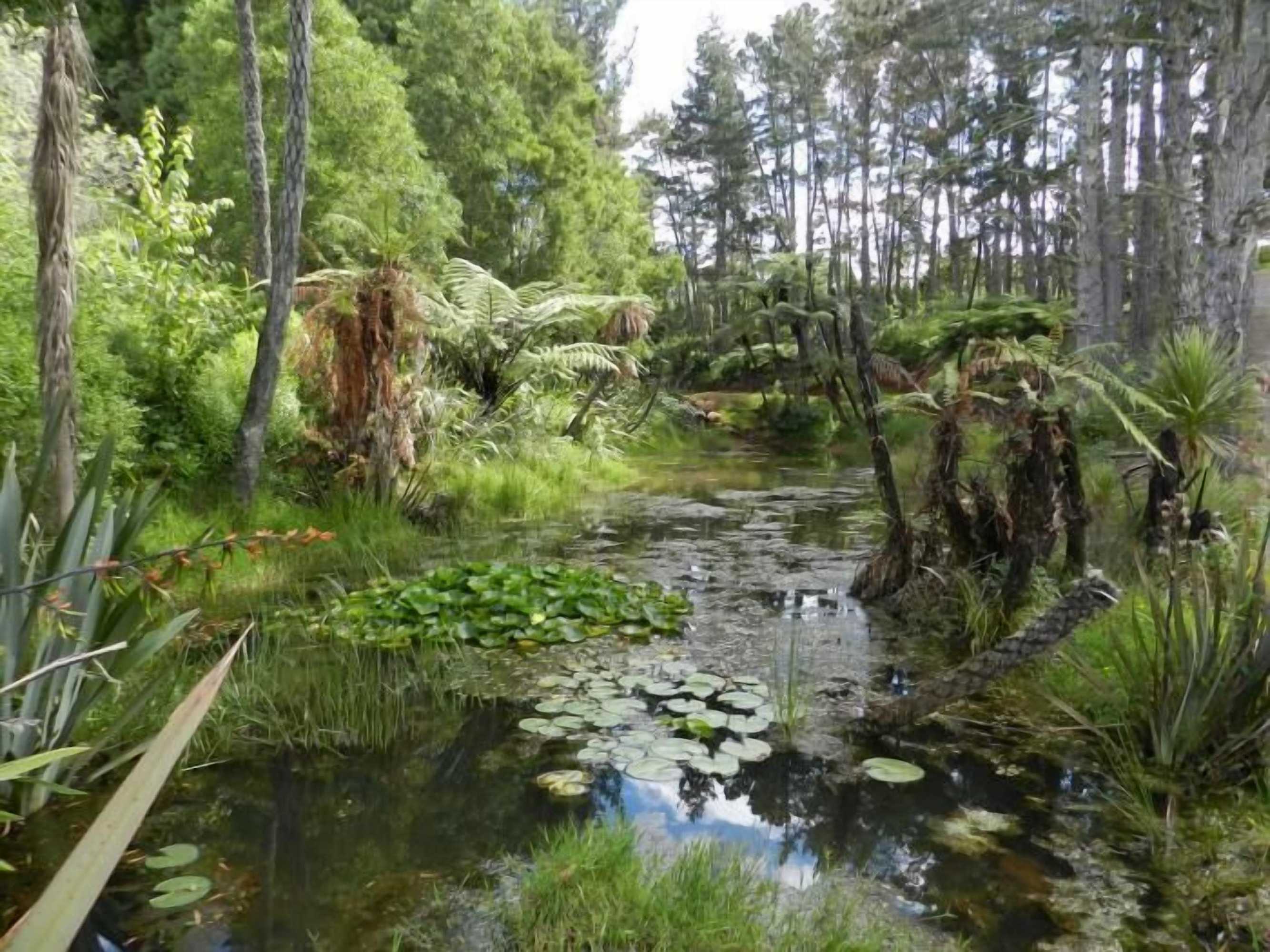 Gift card for Puketotara Lodge