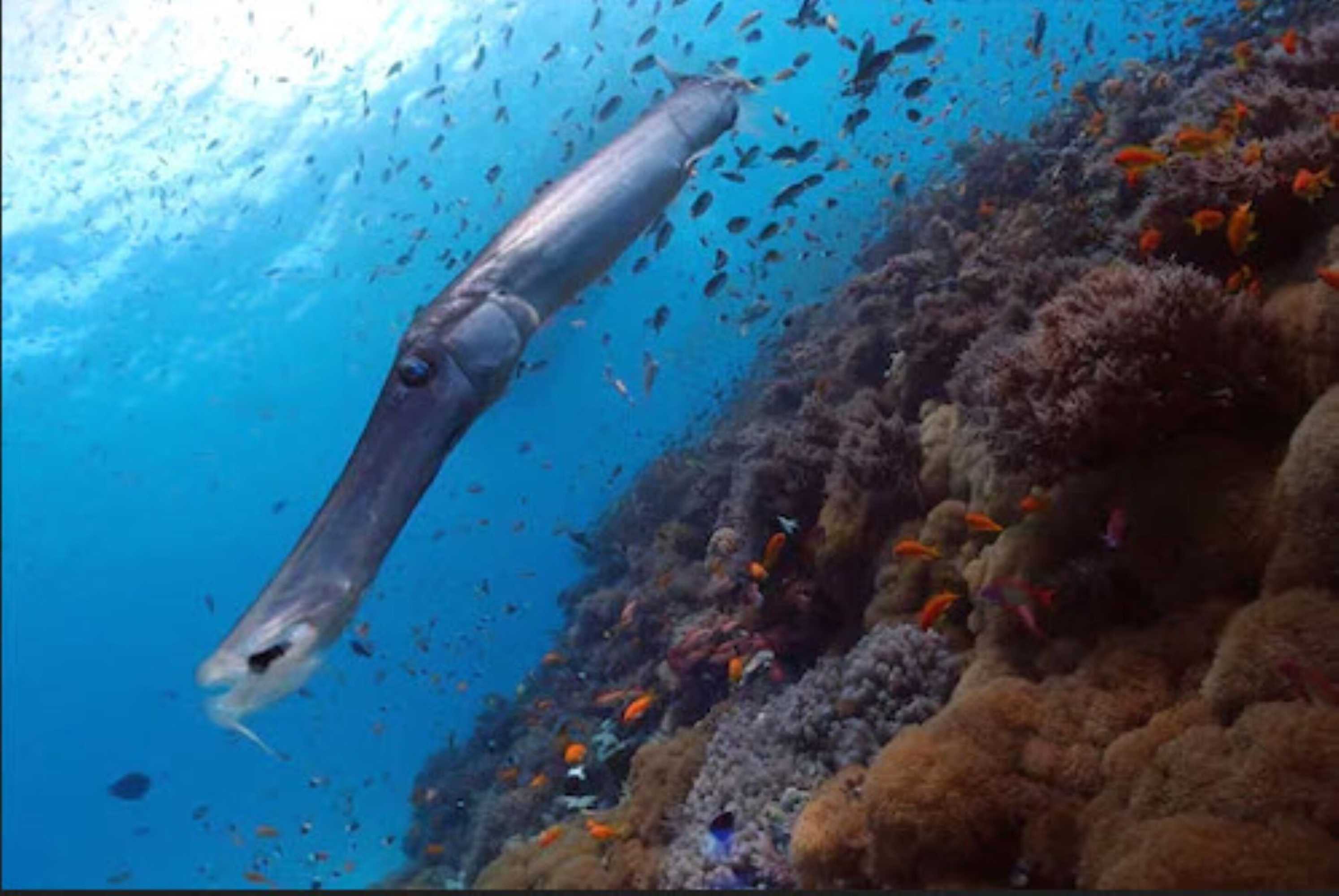 Gift card for Sunshine Marine Lodge