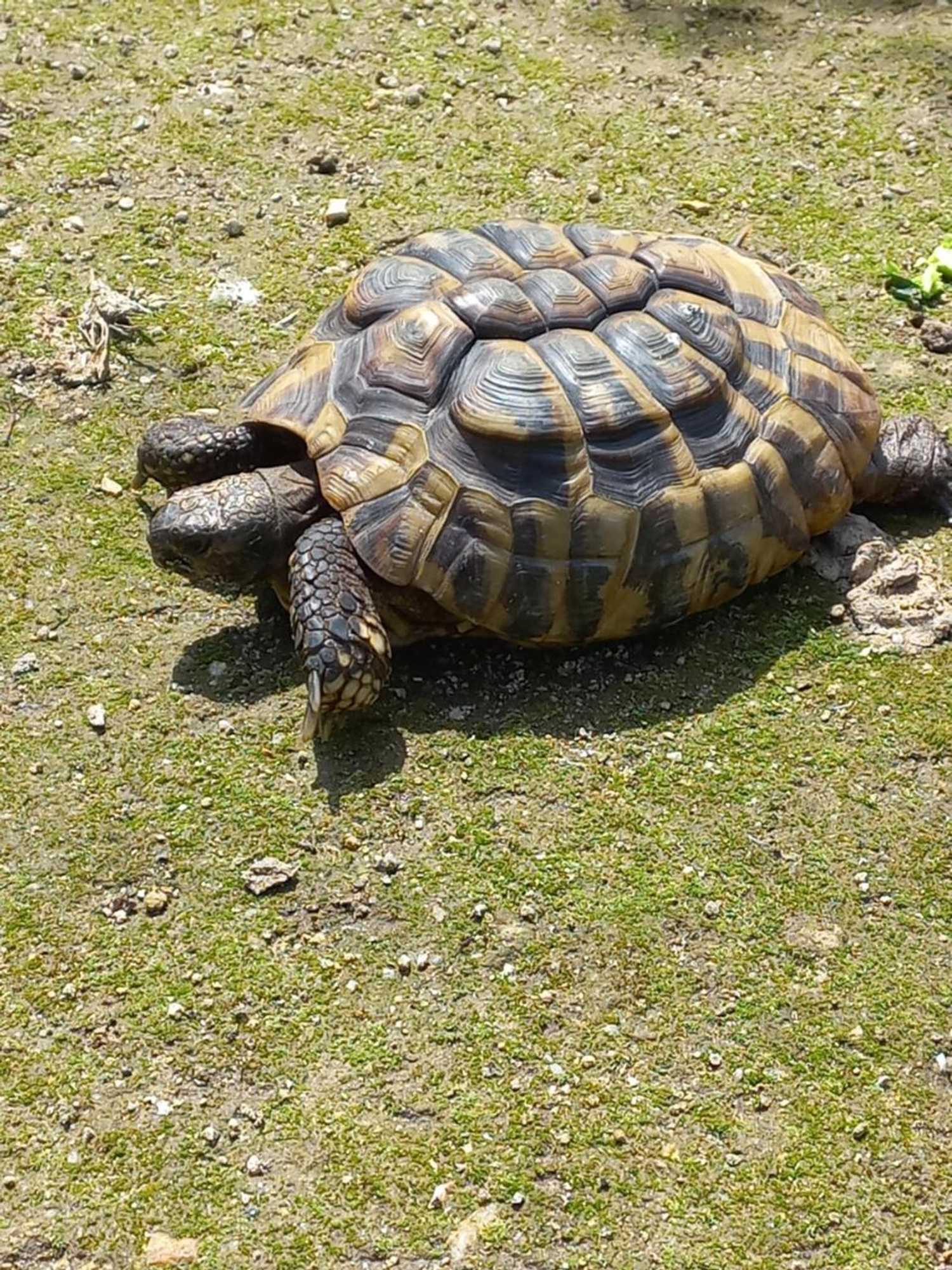 Gift card for Quinta da Tapada