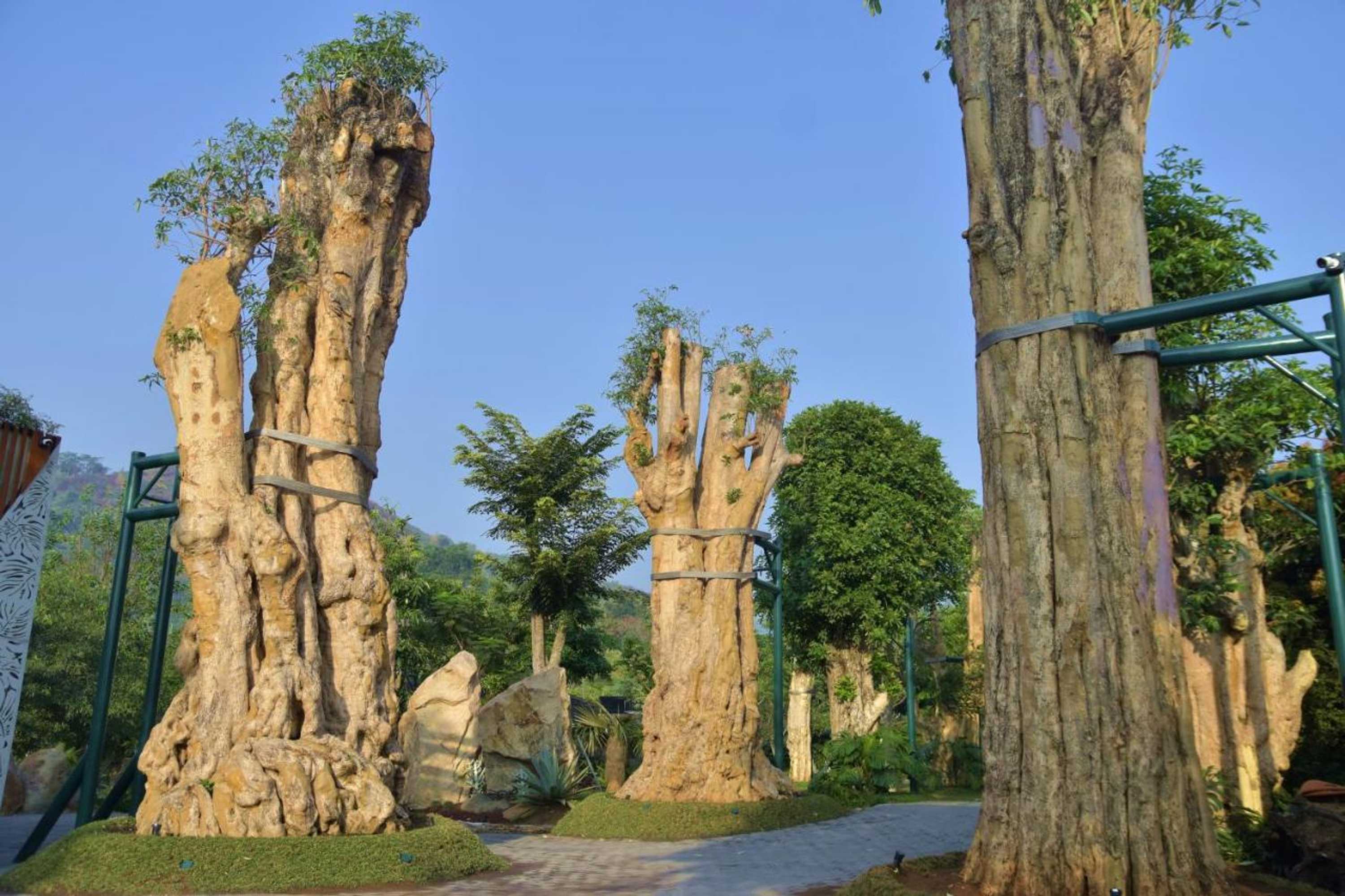 Gift card for Sarga Earthing Resort