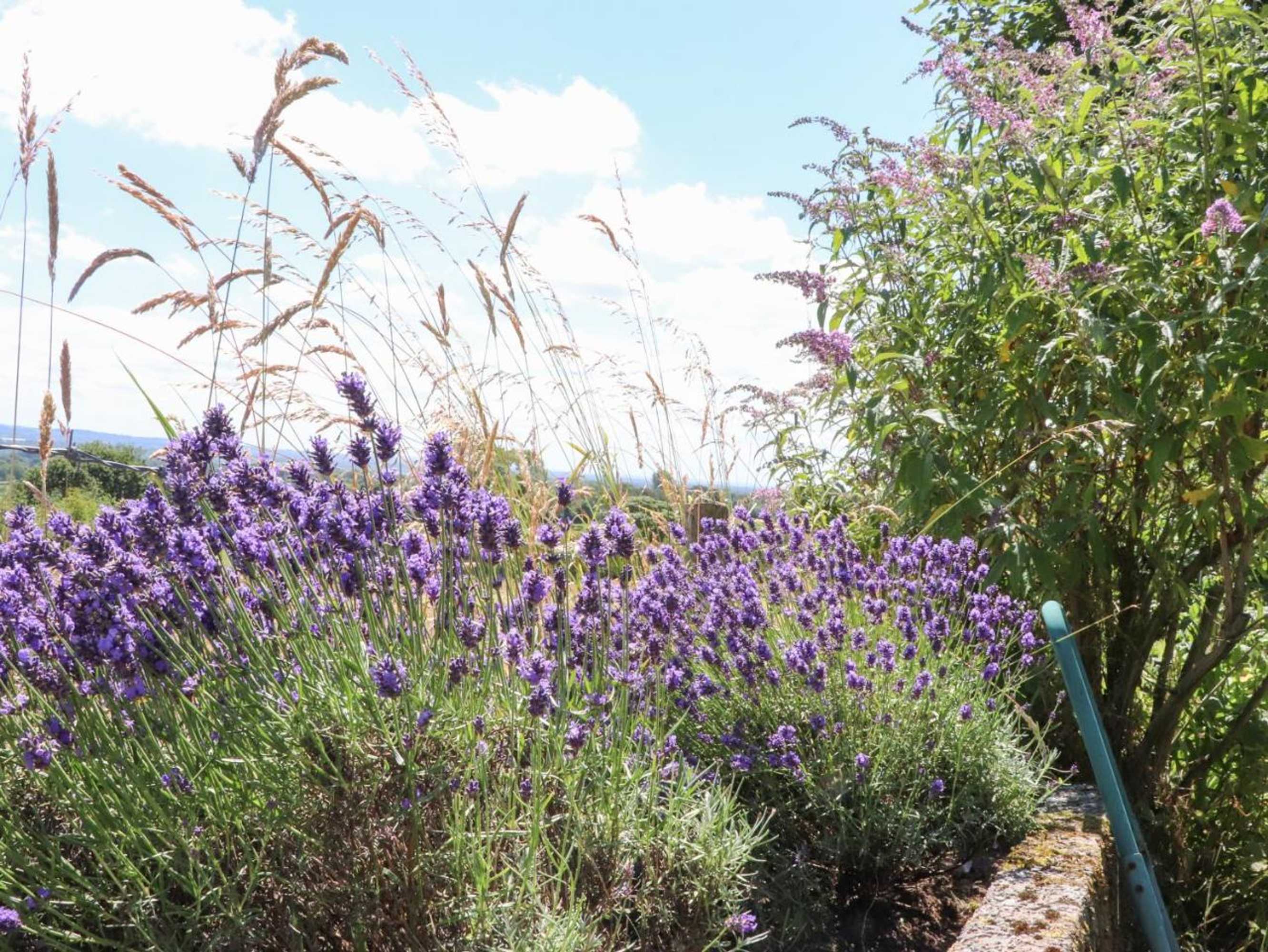 Gift card for Cottam Cottage Farm