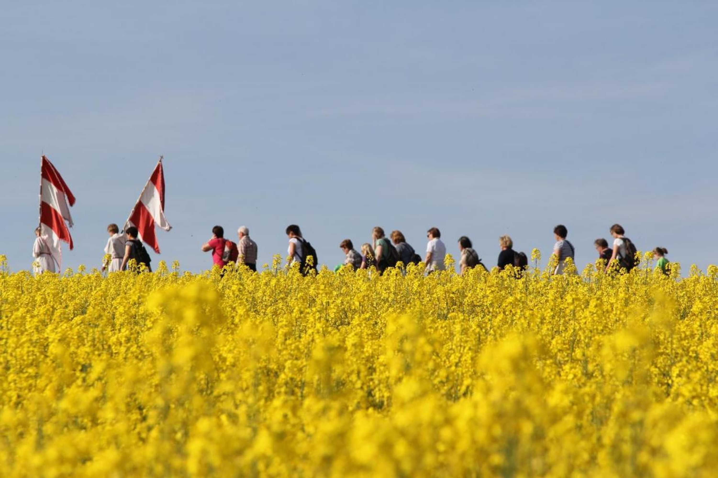 Gift card for Ökonomiehof Klosterlangheim