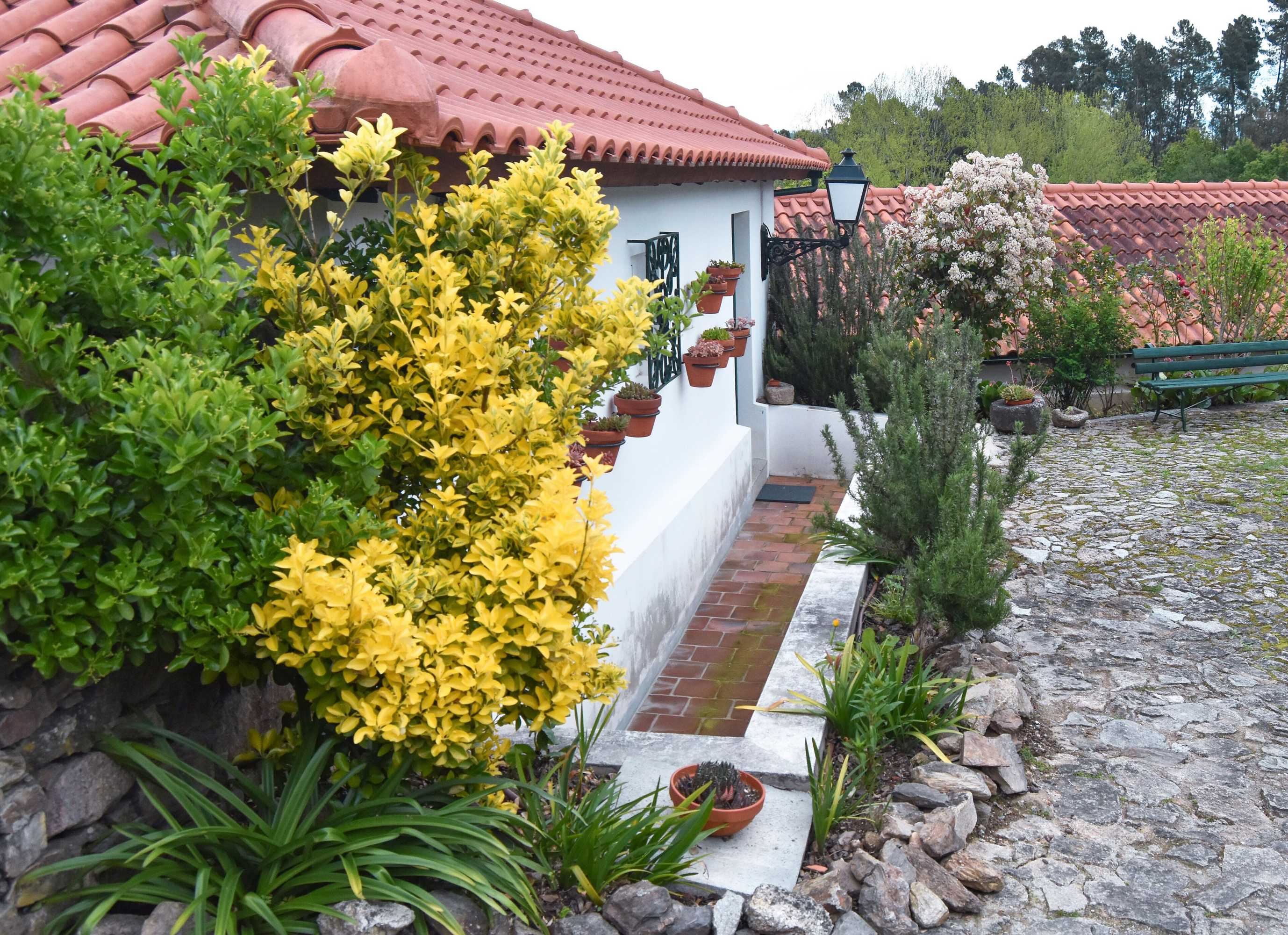 Gift card for Casa de Lamas