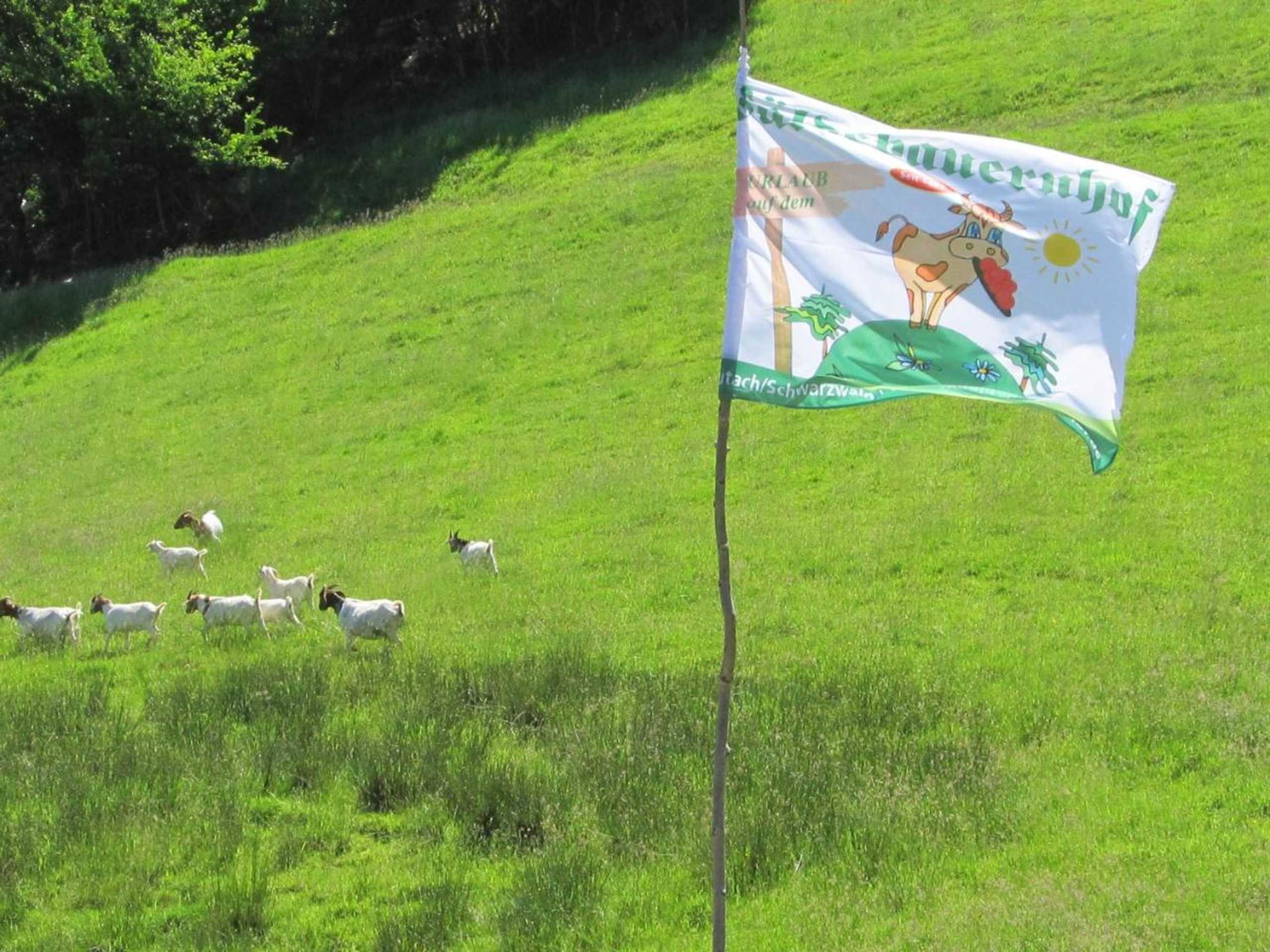 Gift card for Wäldebauernhof
