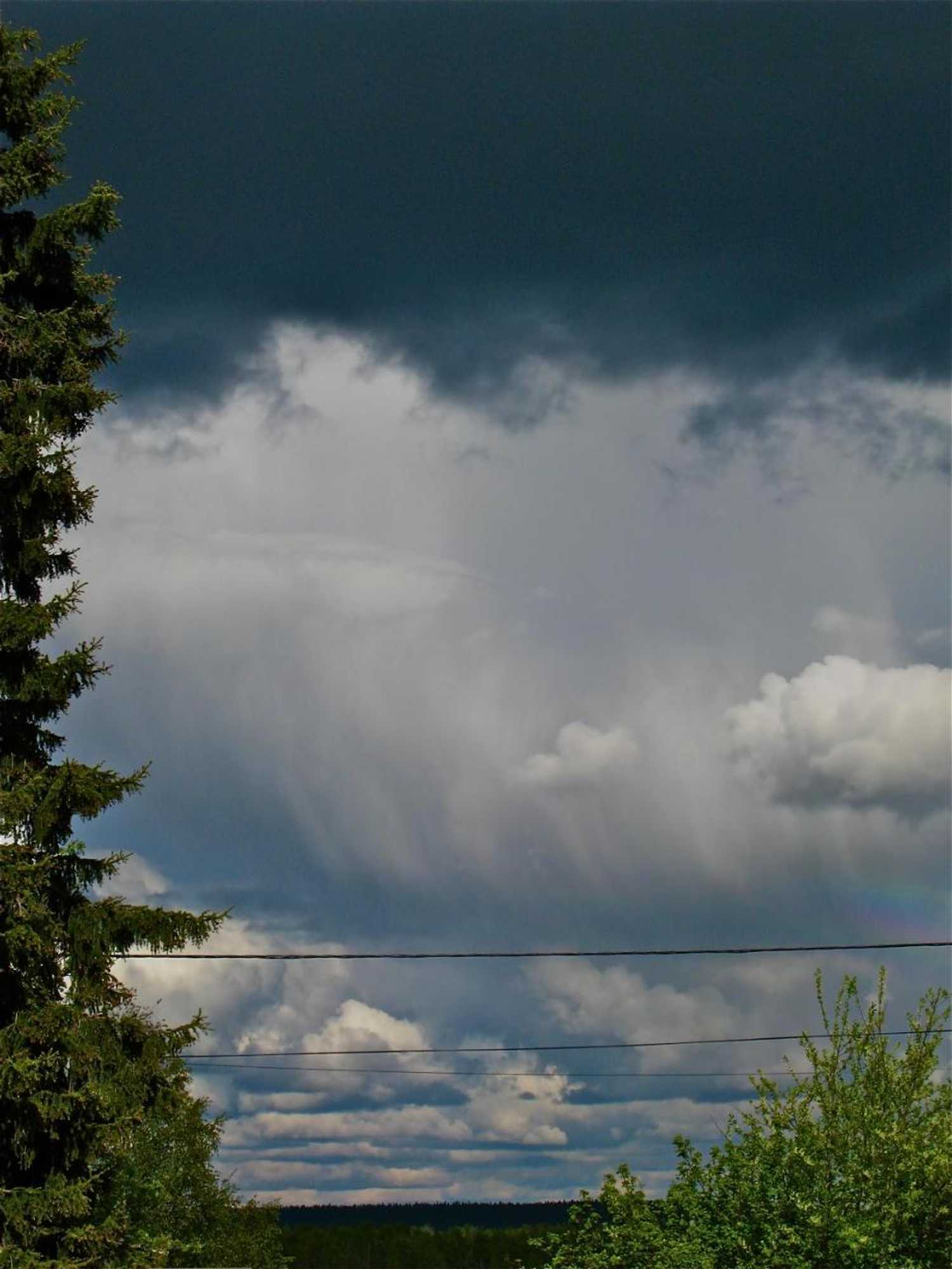 Gift card for Guesthouse Golden Goose