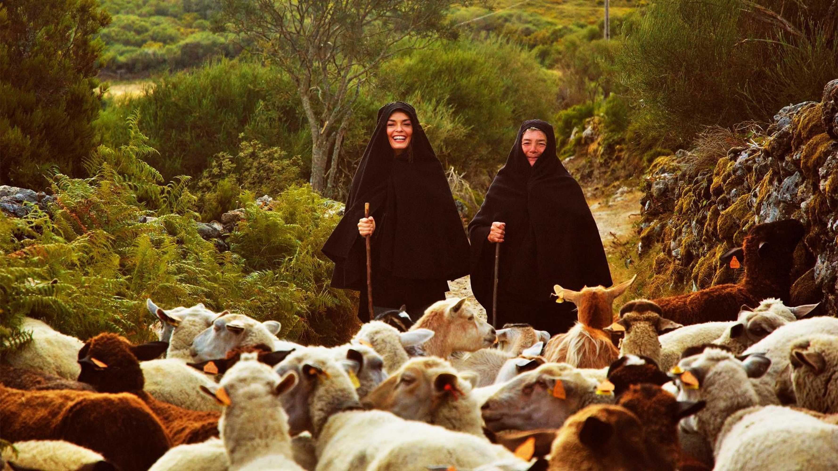 Gift card for Agrinho Suítes & Spa Gerês