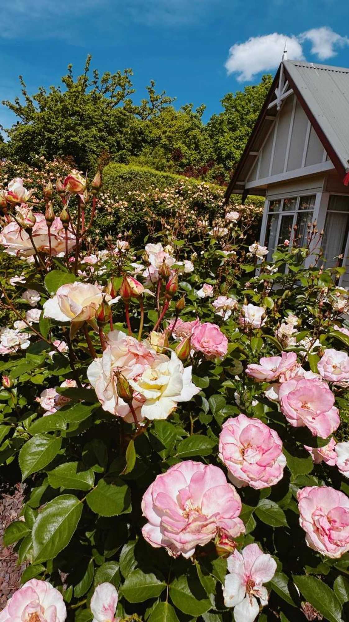 Gift card for Serenity@healesville