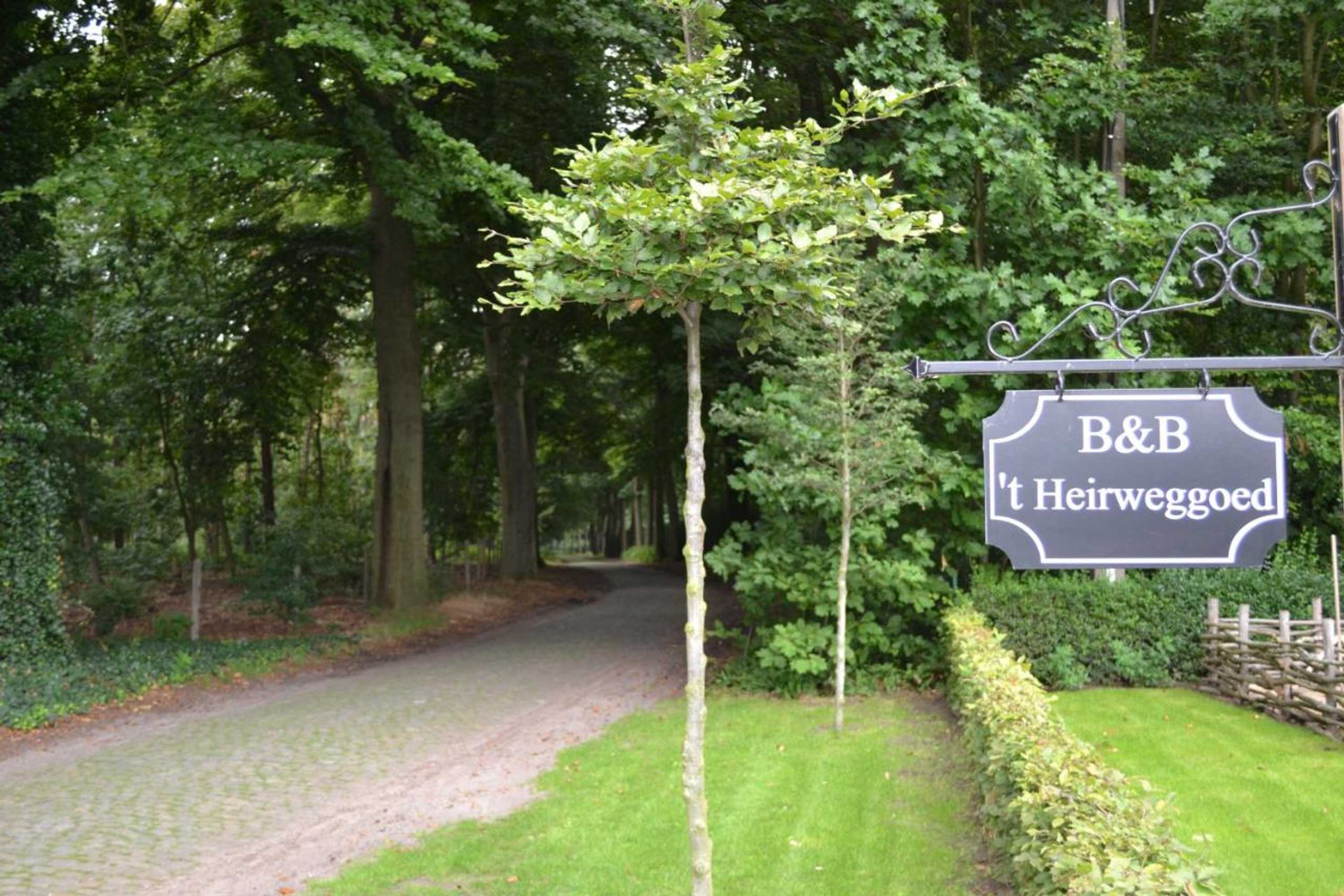Gift card for B&b 't Heirweggoed