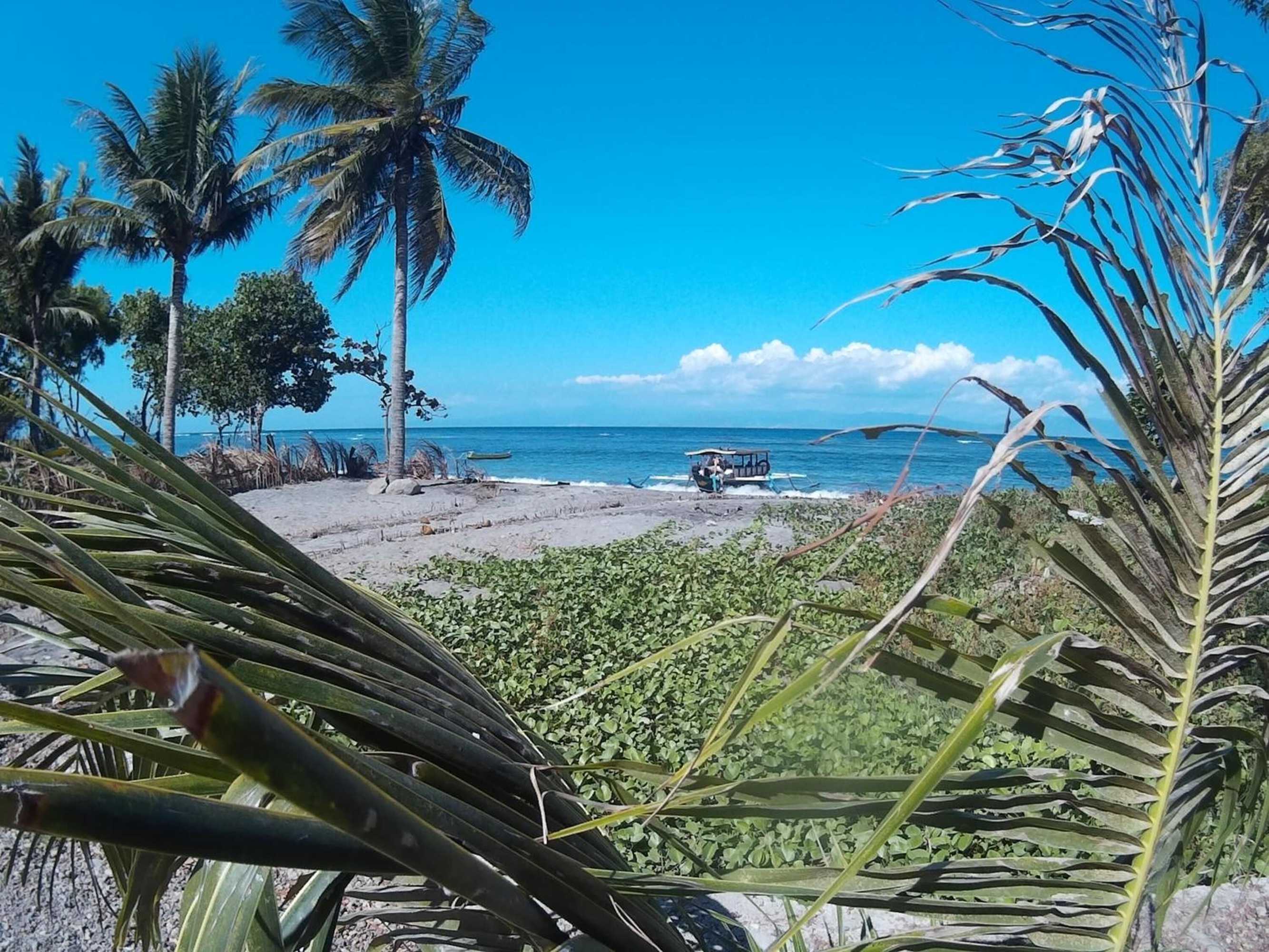 Gift card for East Lombok Dive Hotel - Hostel Gift card for East Lombok Dive Hotel - Hostel