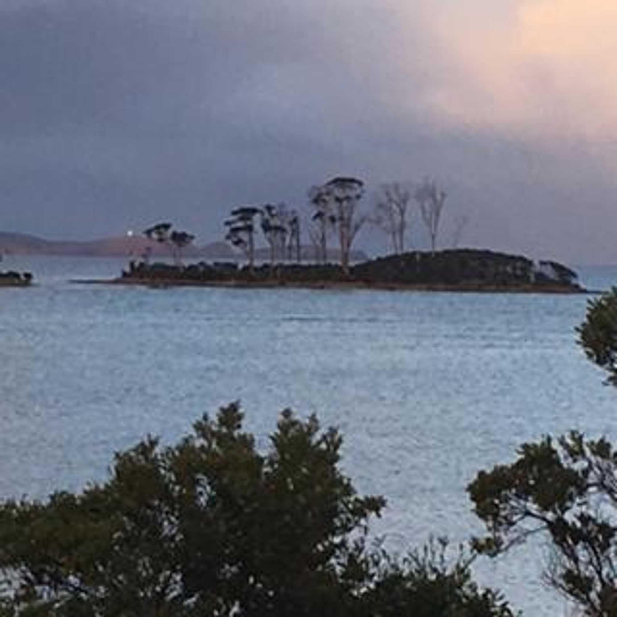 Gift card for Essentially Tas - The Shackeau