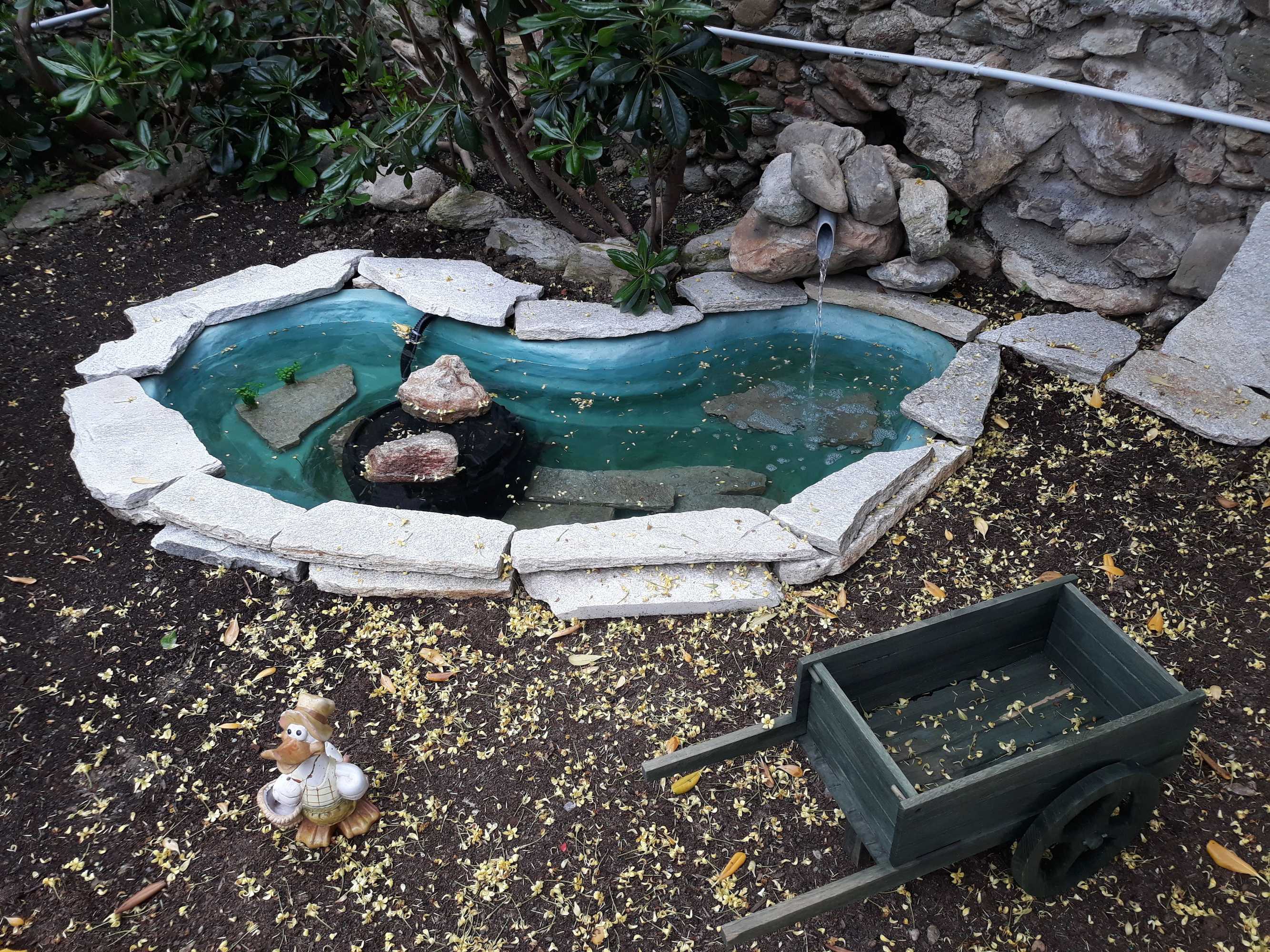 Gift card for La Terra di Mingo