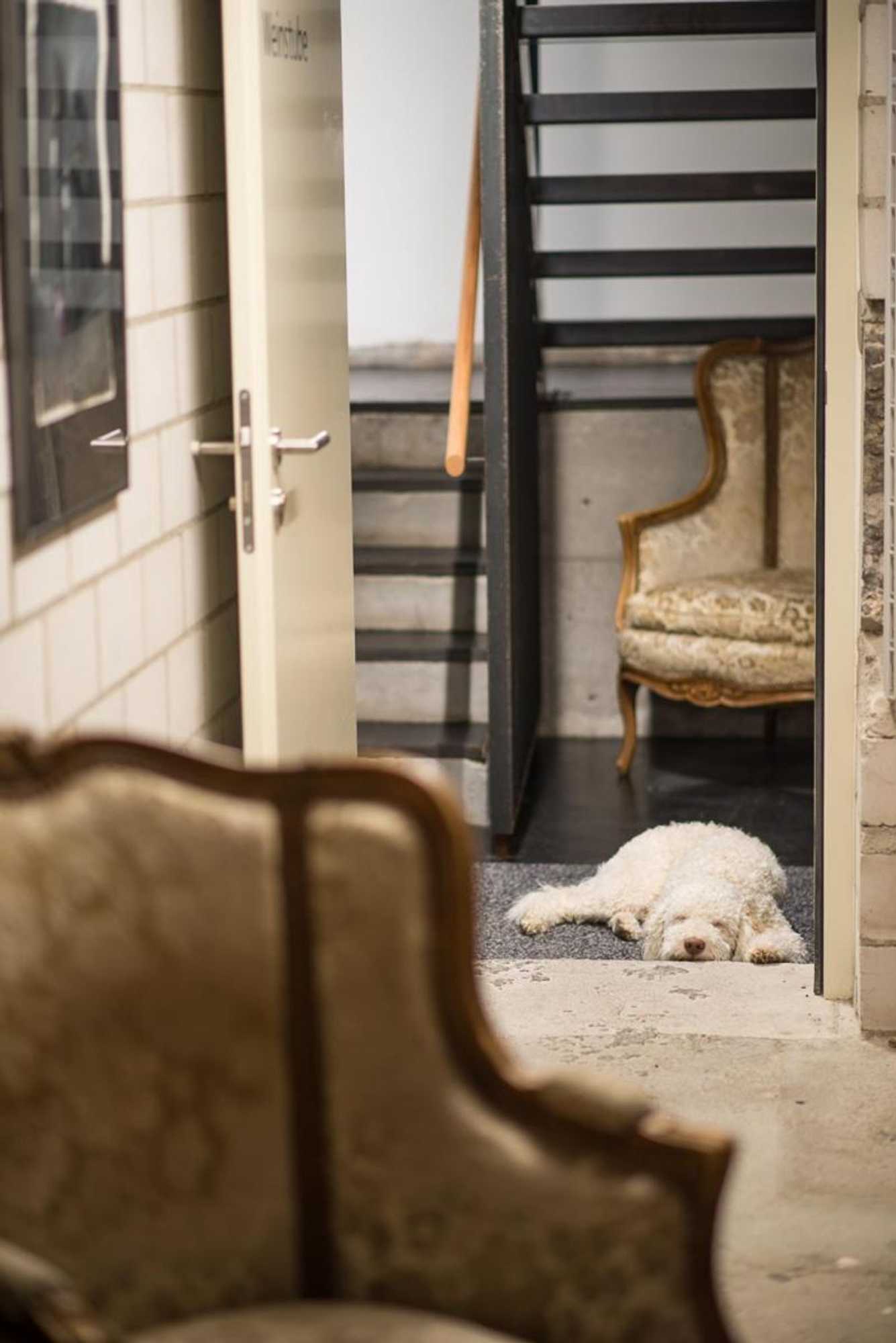 Gift card for 3 Sterne Boutique Gasthaus Pöstli