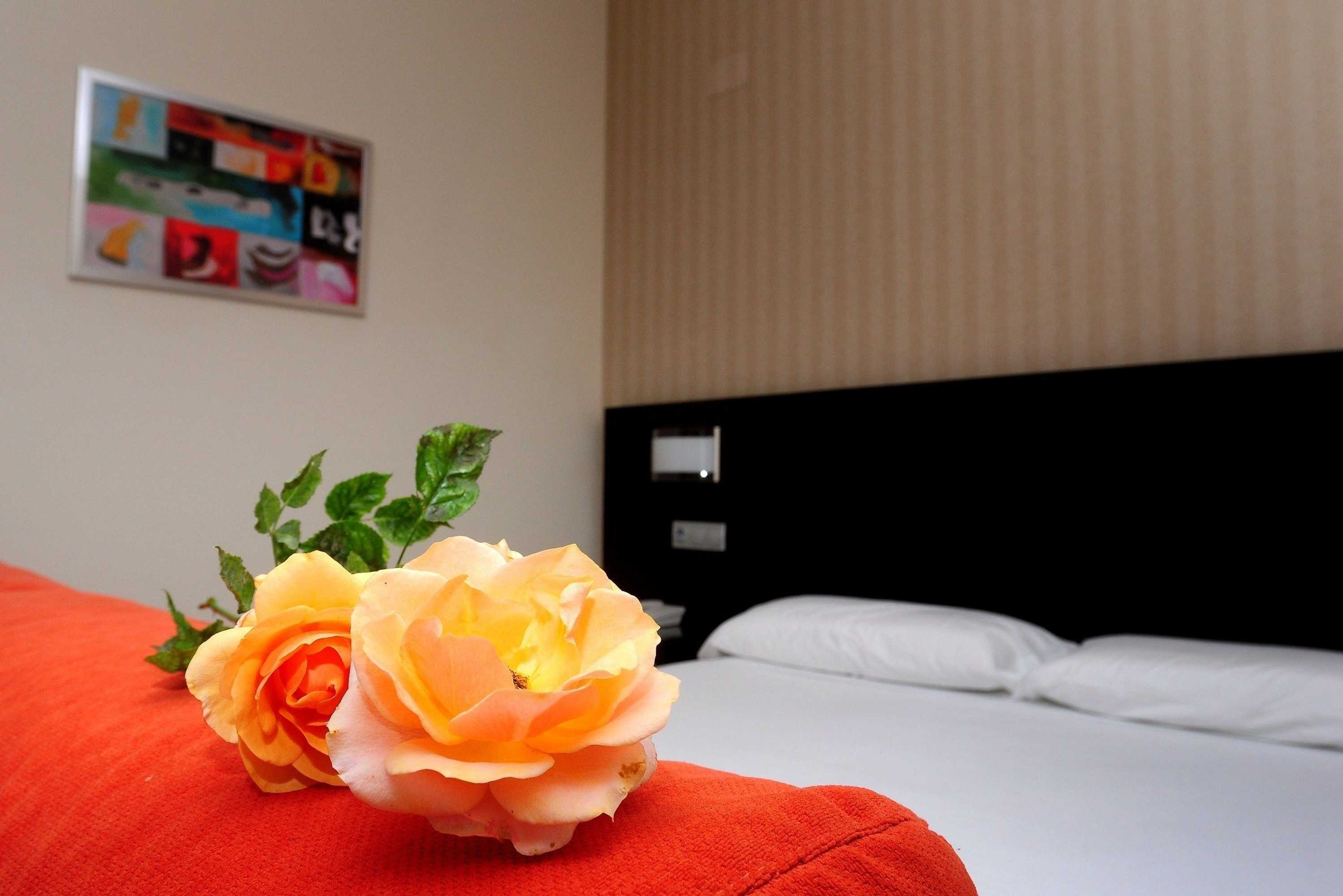 Gift card for Hotel Pradillo Conil Gift card for Hotel Pradillo Conil