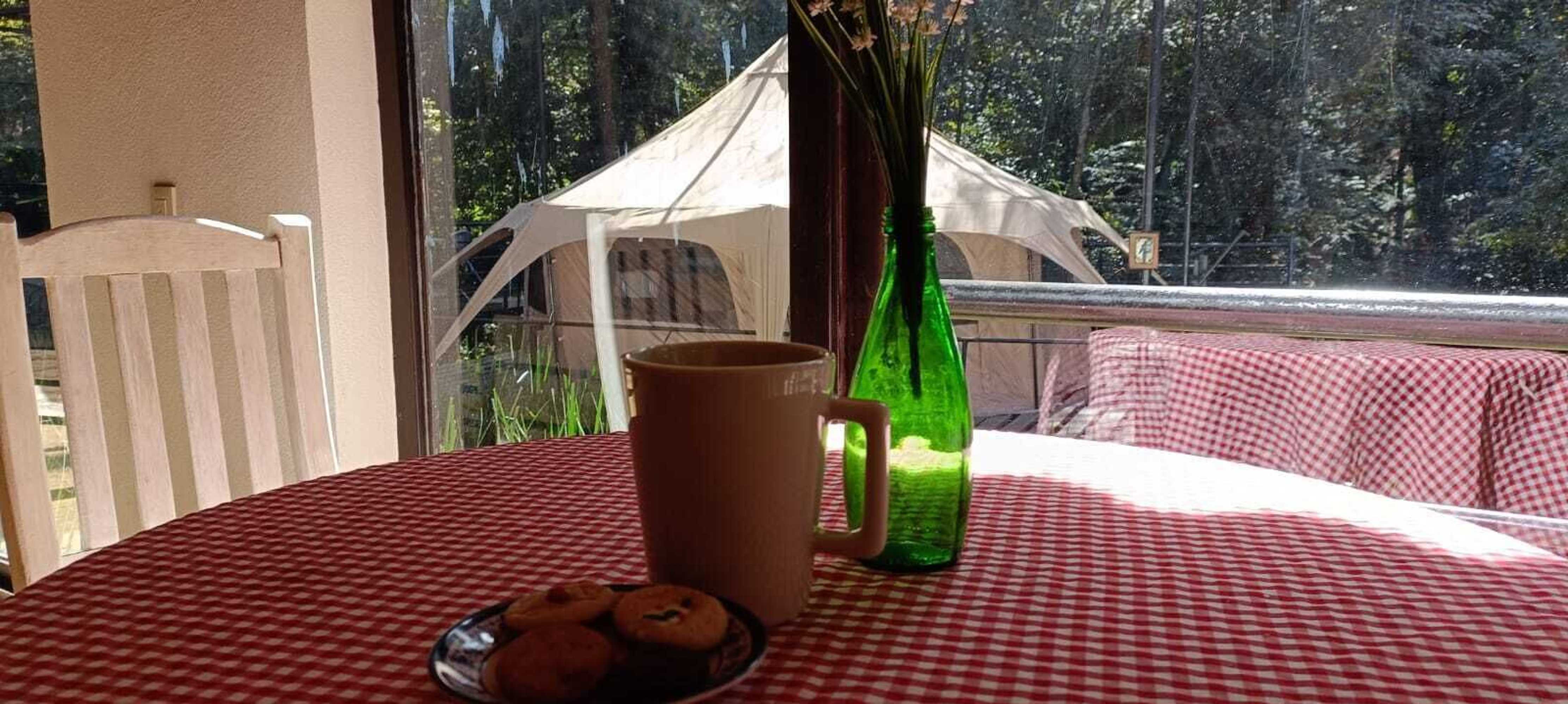 Gift card for Glamping Rio Valle de Bravo