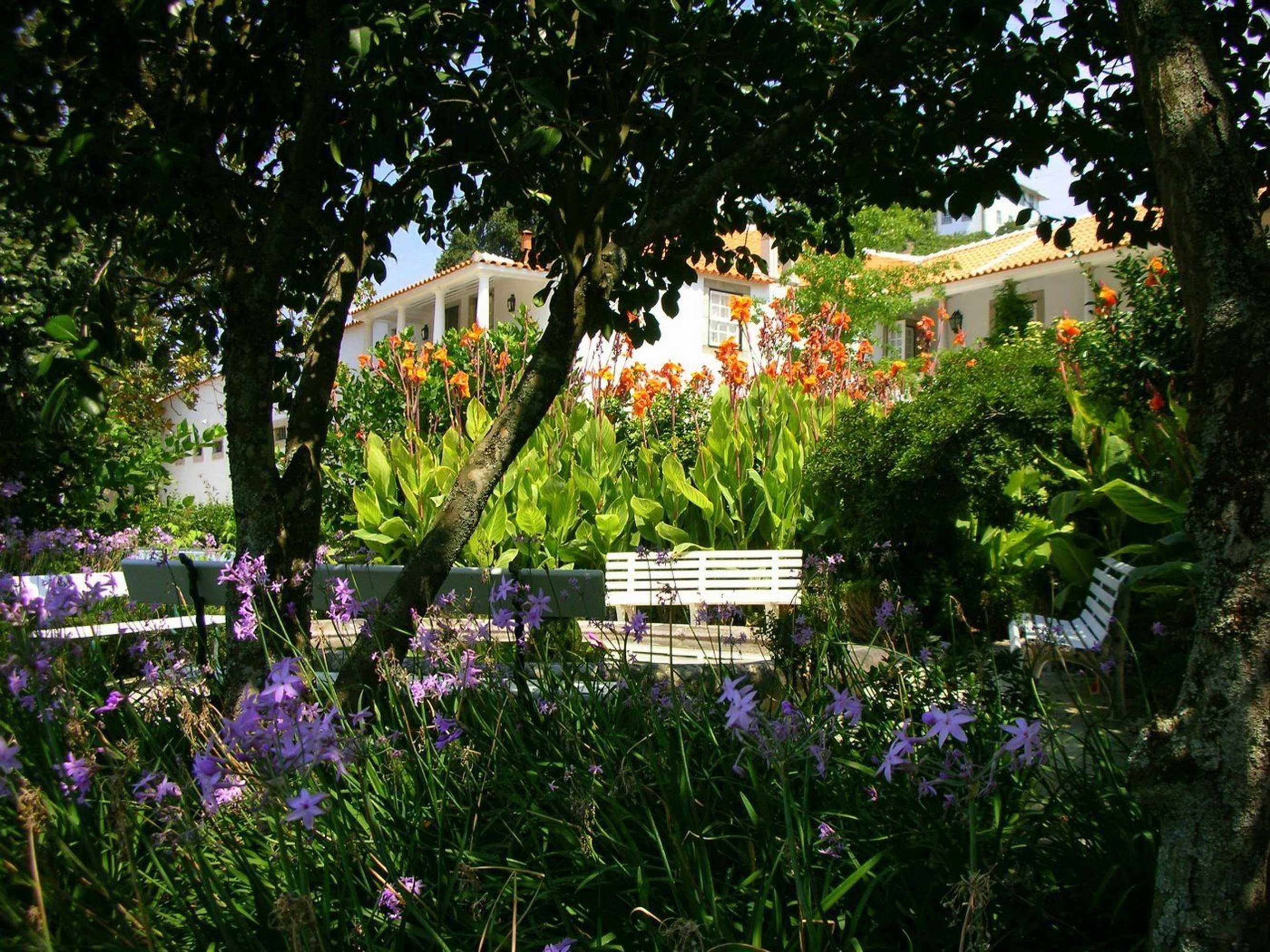 Gift card for Casa da Azenha