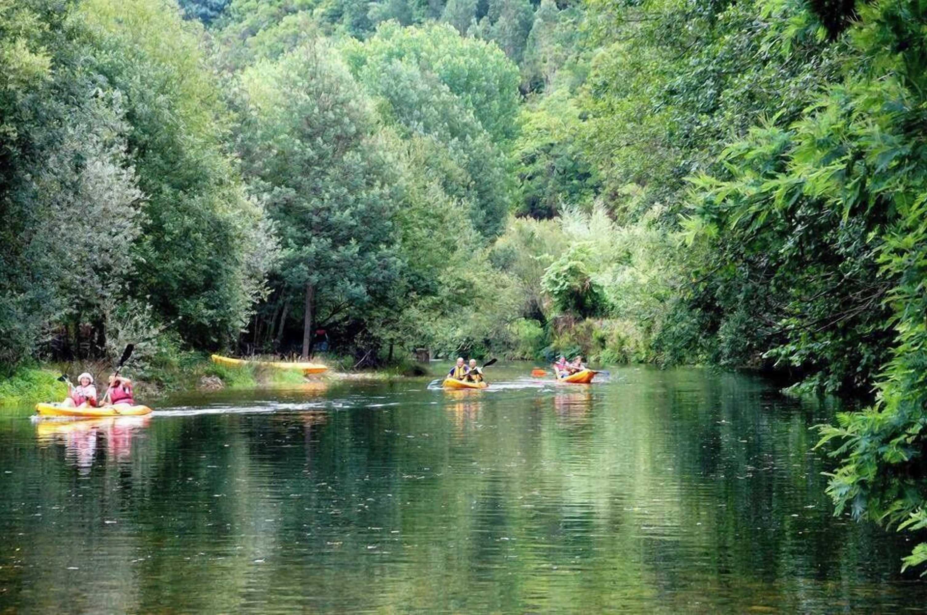 Gift card for Vumba - House of The Lizard