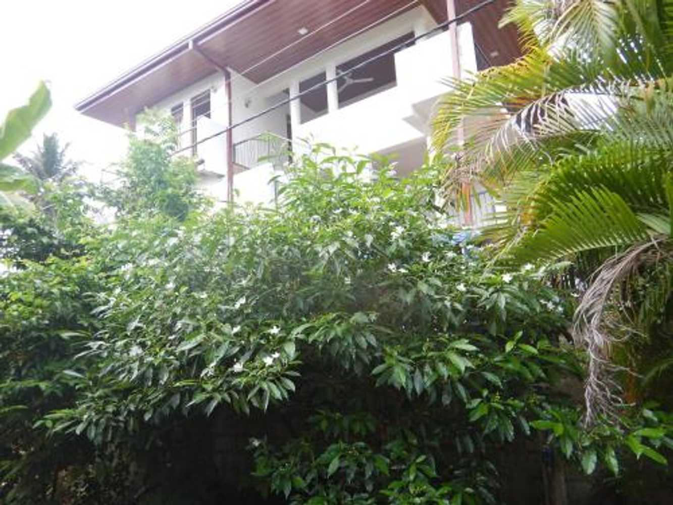 Gift card for Suwani Pinnawala Homestay
