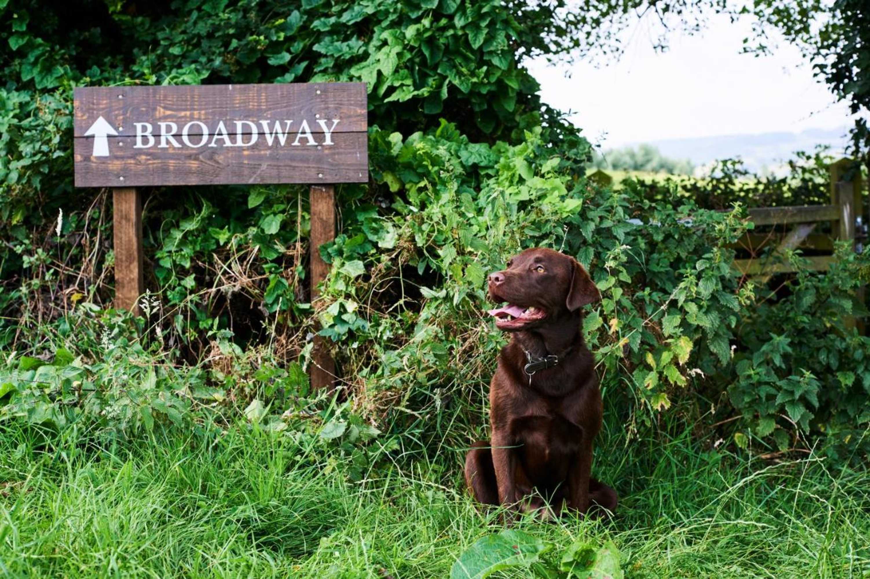 Gift card for The Fish Hotel