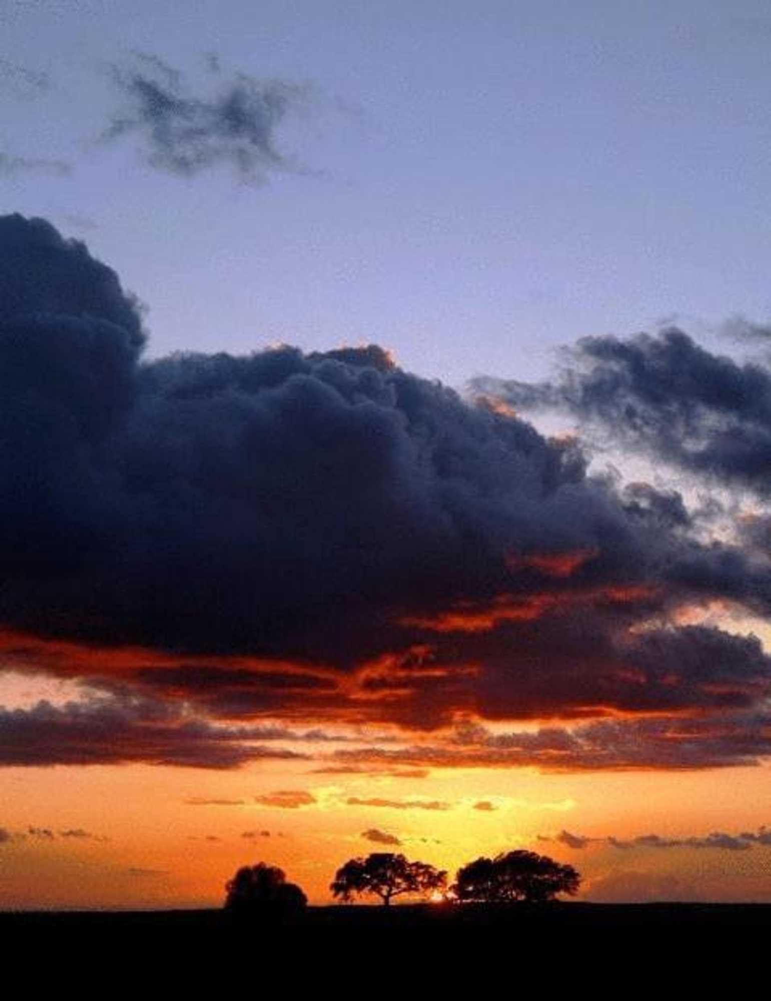 Gift card for Naveterra-Hotel Rural