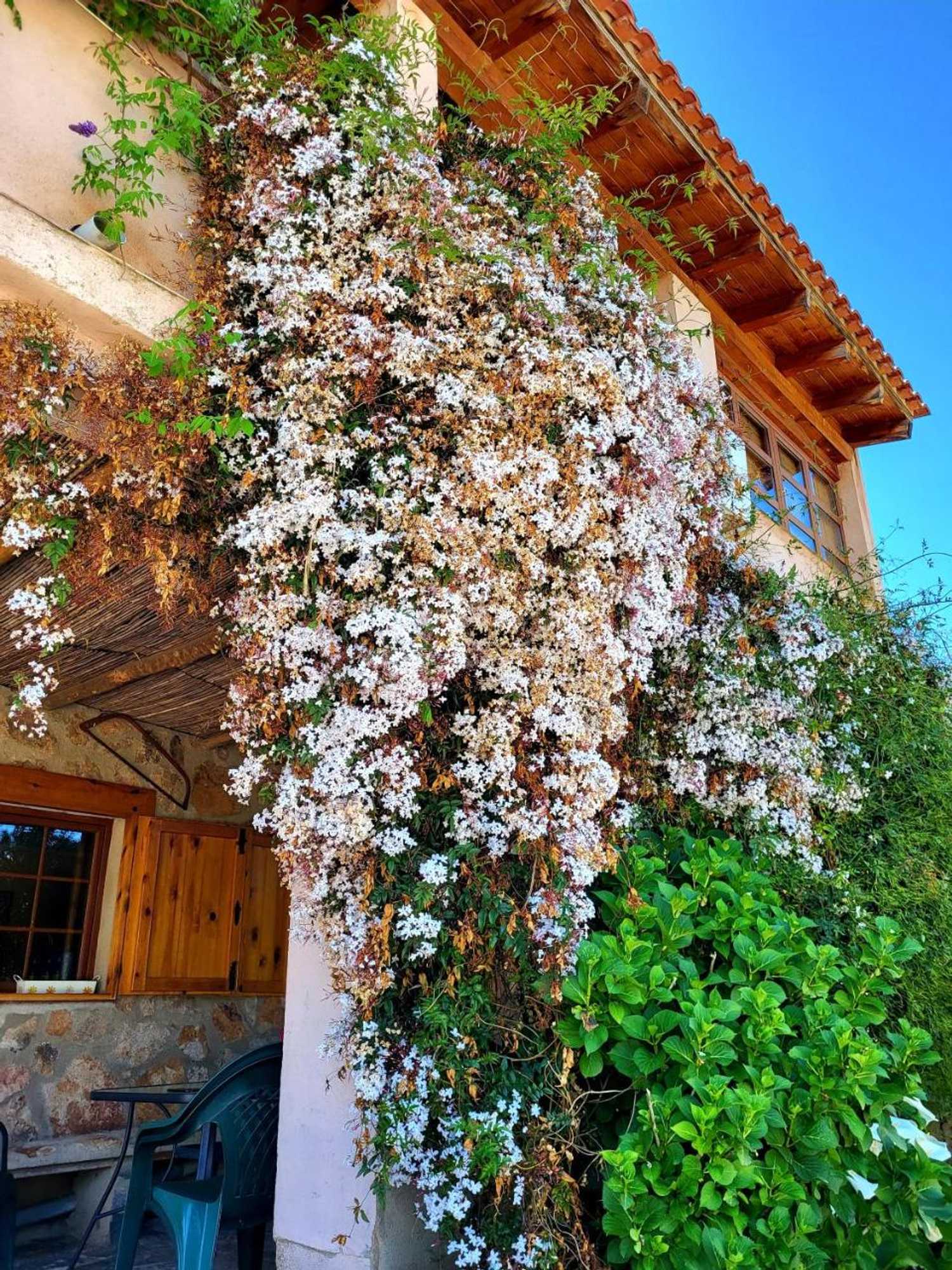 Gift card for Casa Rural Balcón Del Camino Viejo