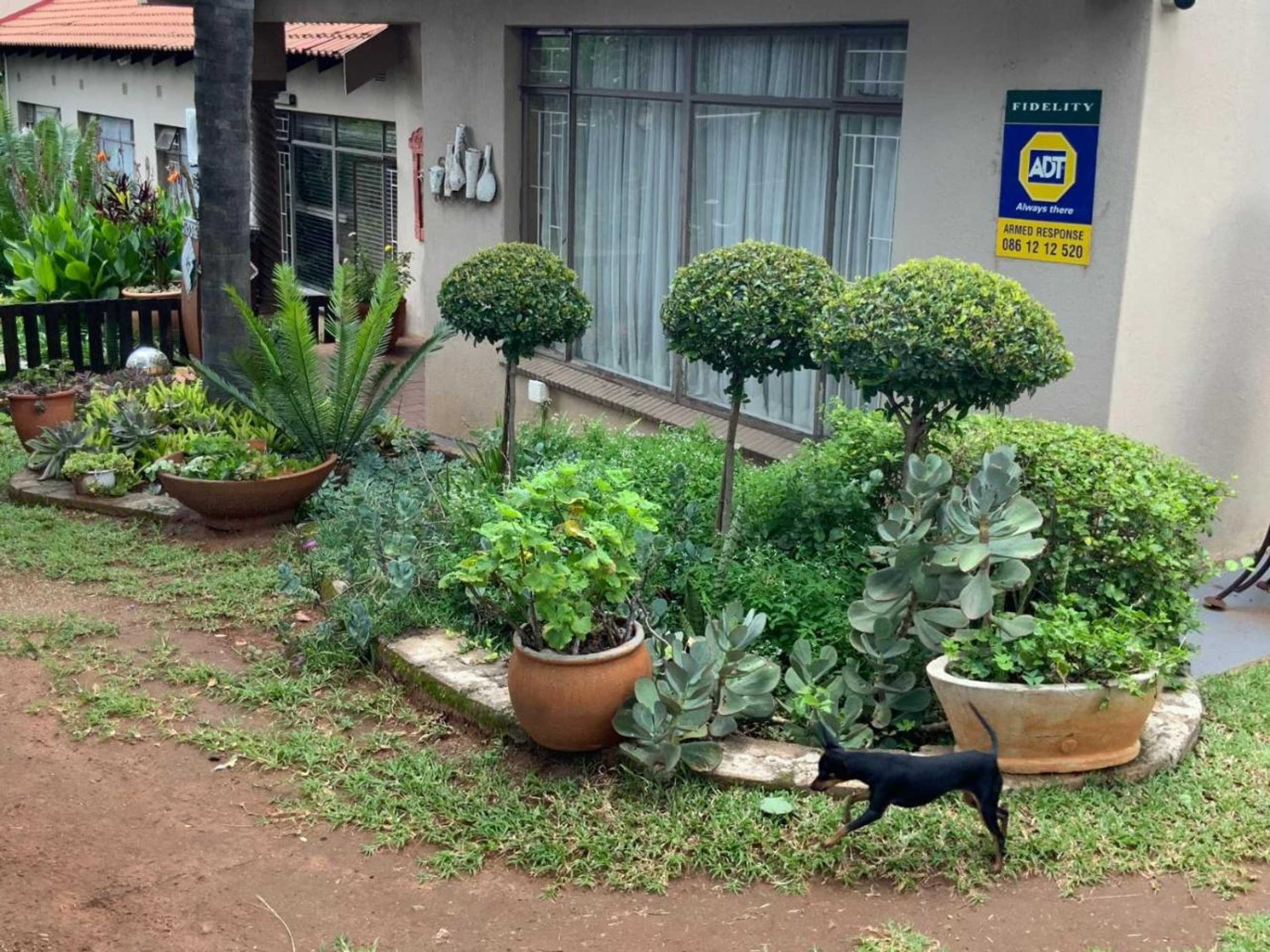 Gift card for Meraki Upmarket Guesthouse