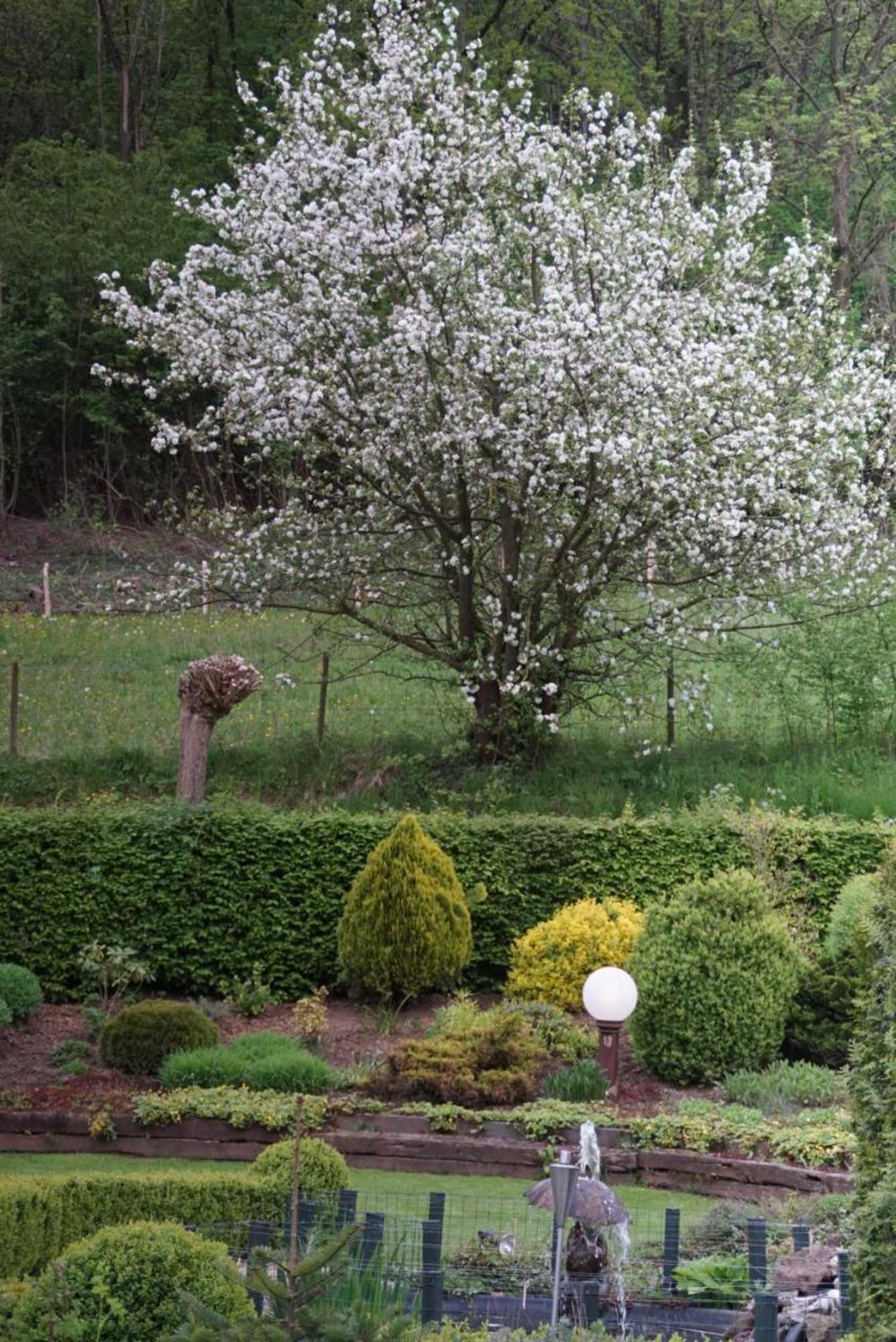 Gift card for Hotel Bemelmans