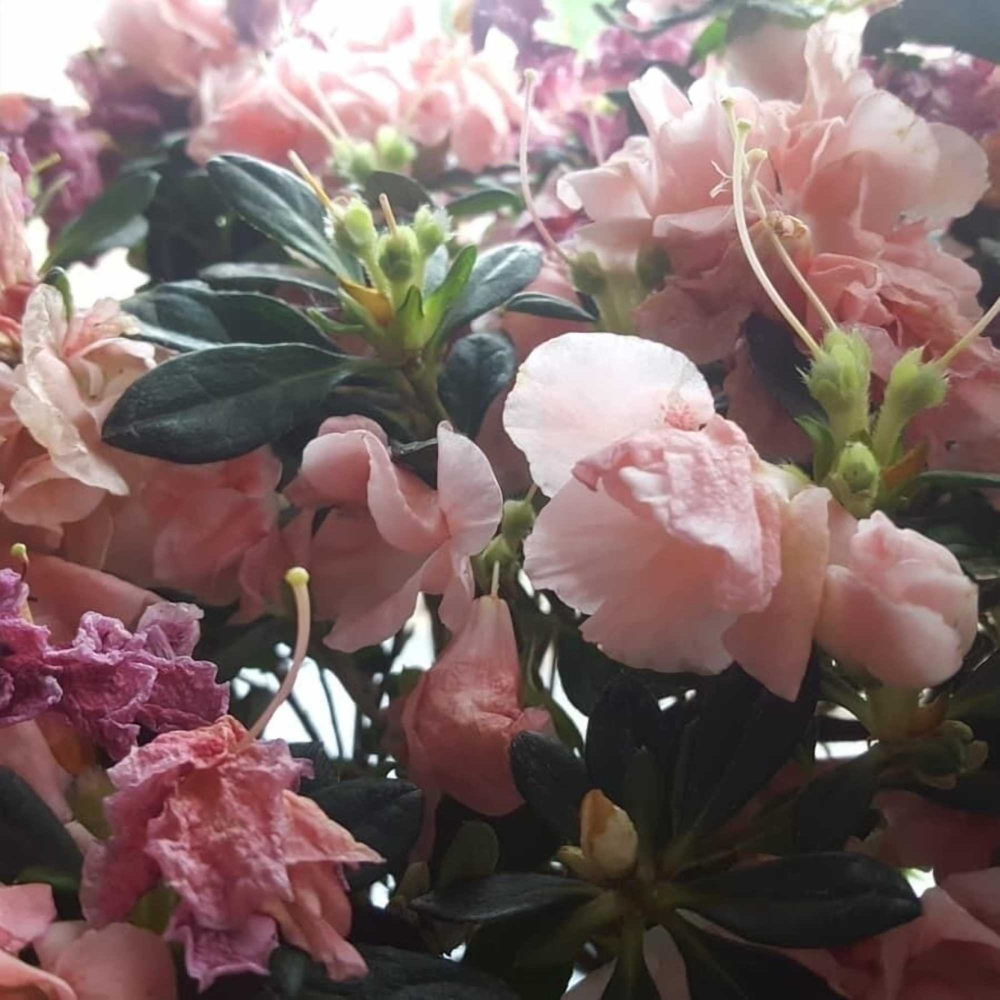 Gift card for Euro-Hotel