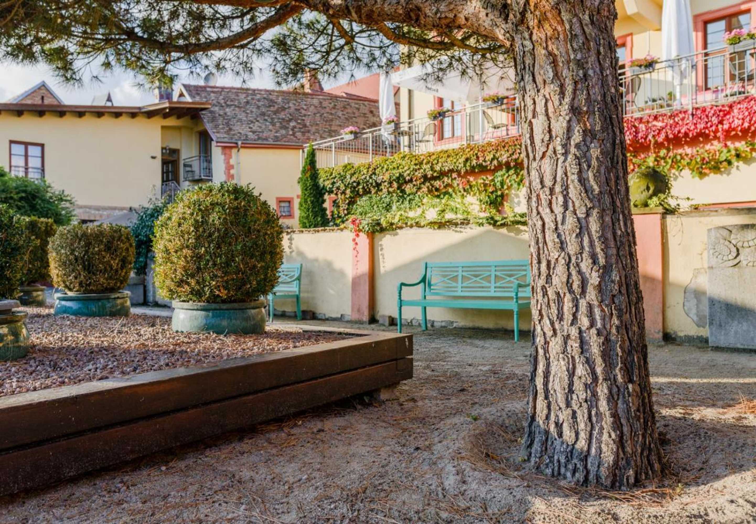 Gift card for Hotel Kollektur