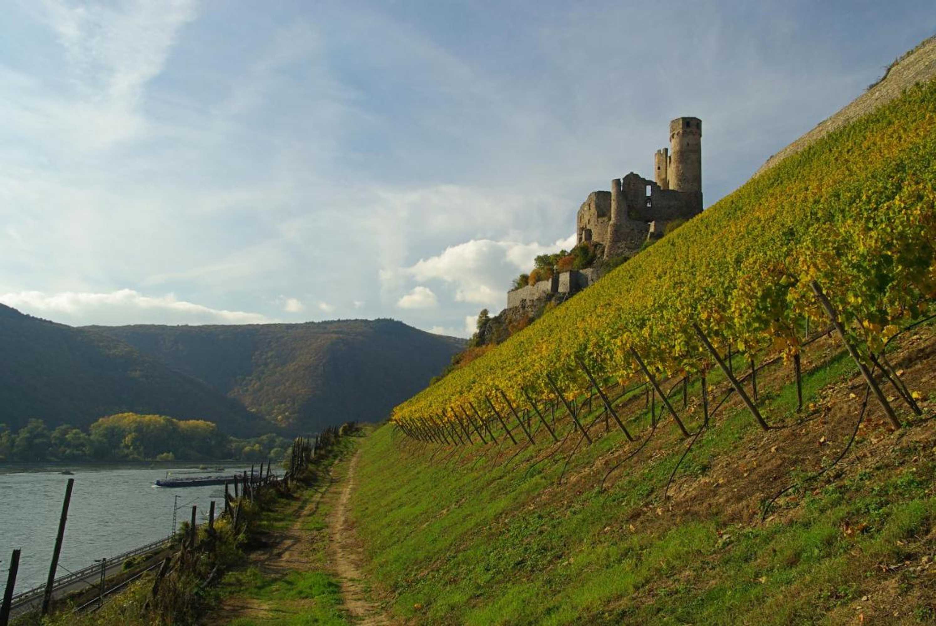 Gift card for Bellevue Rheinhotel