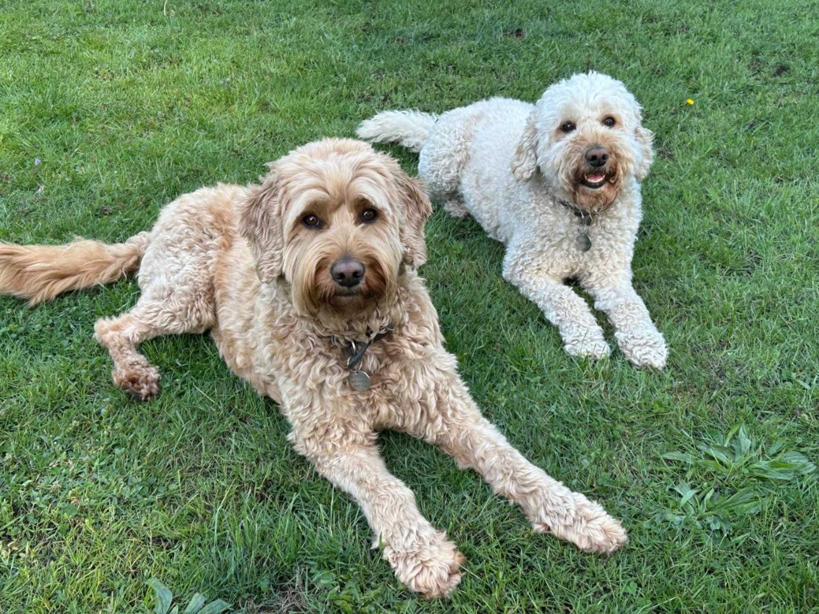 Gift card for Bed&breakfast Kamersven