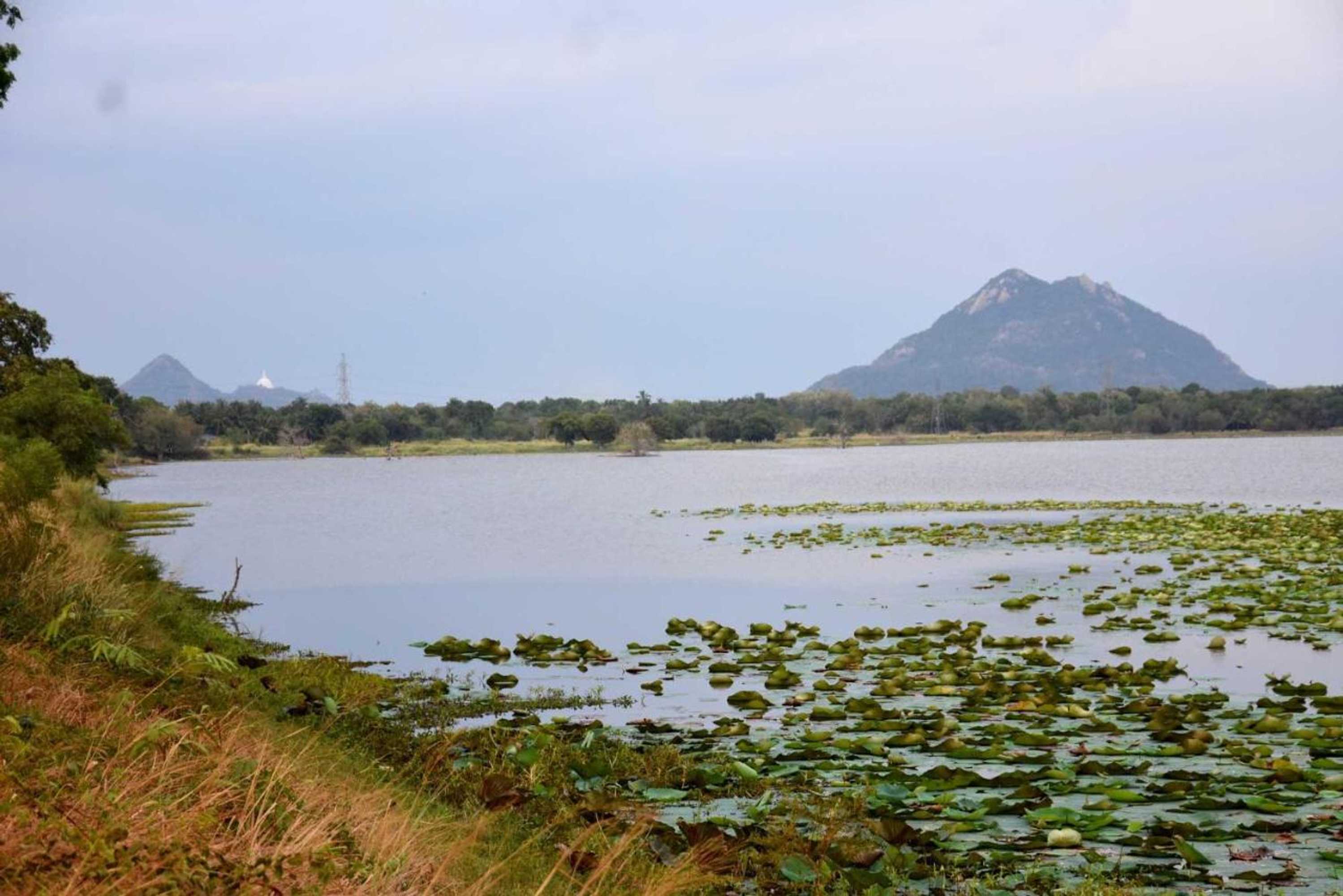 Gift card for Ranweli Resort Anuradhapura Gift card for Ranweli Resort Anuradhapura