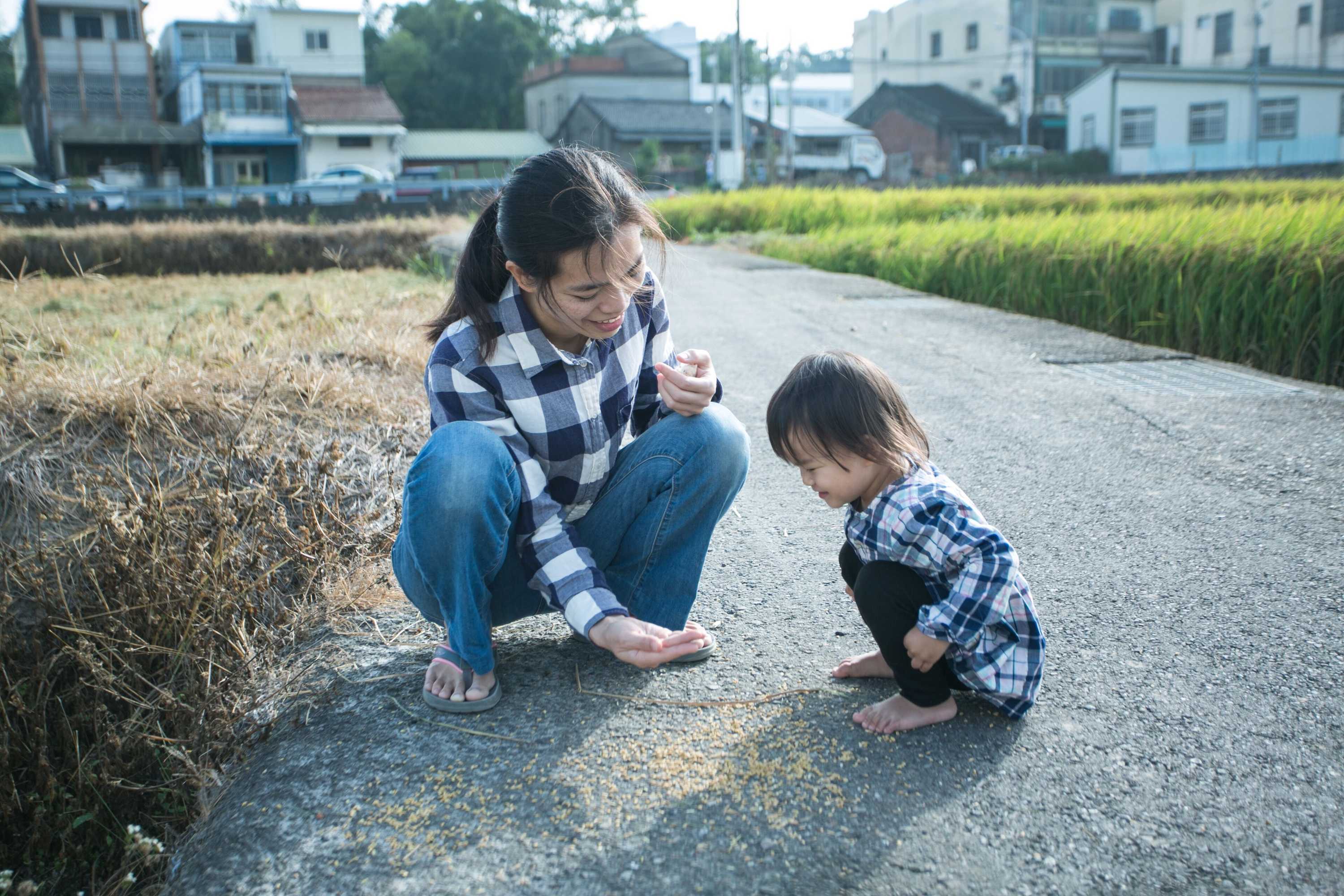 Gift card for Tree House Café & Homestay