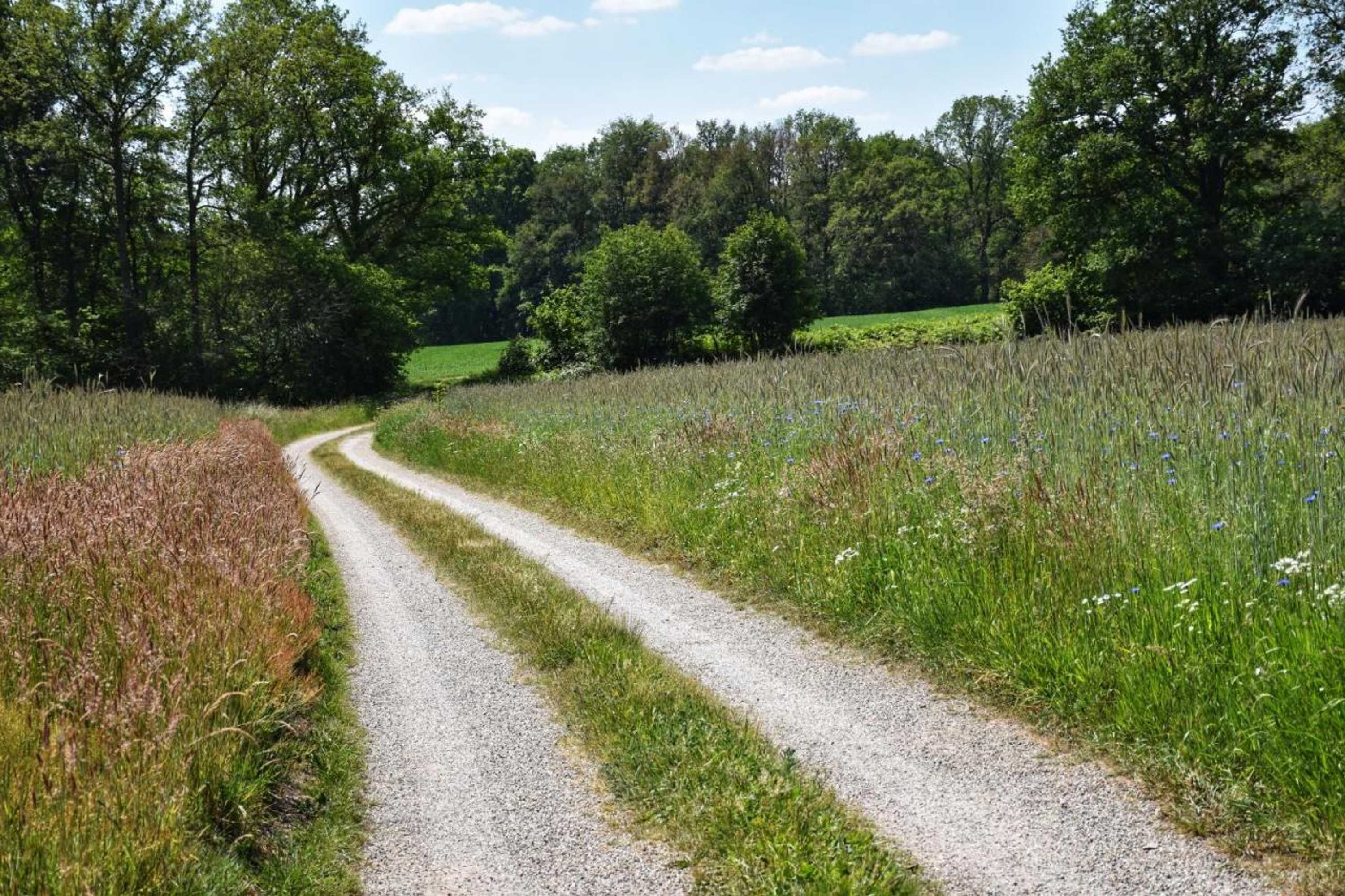 Gift card for Erve Punte